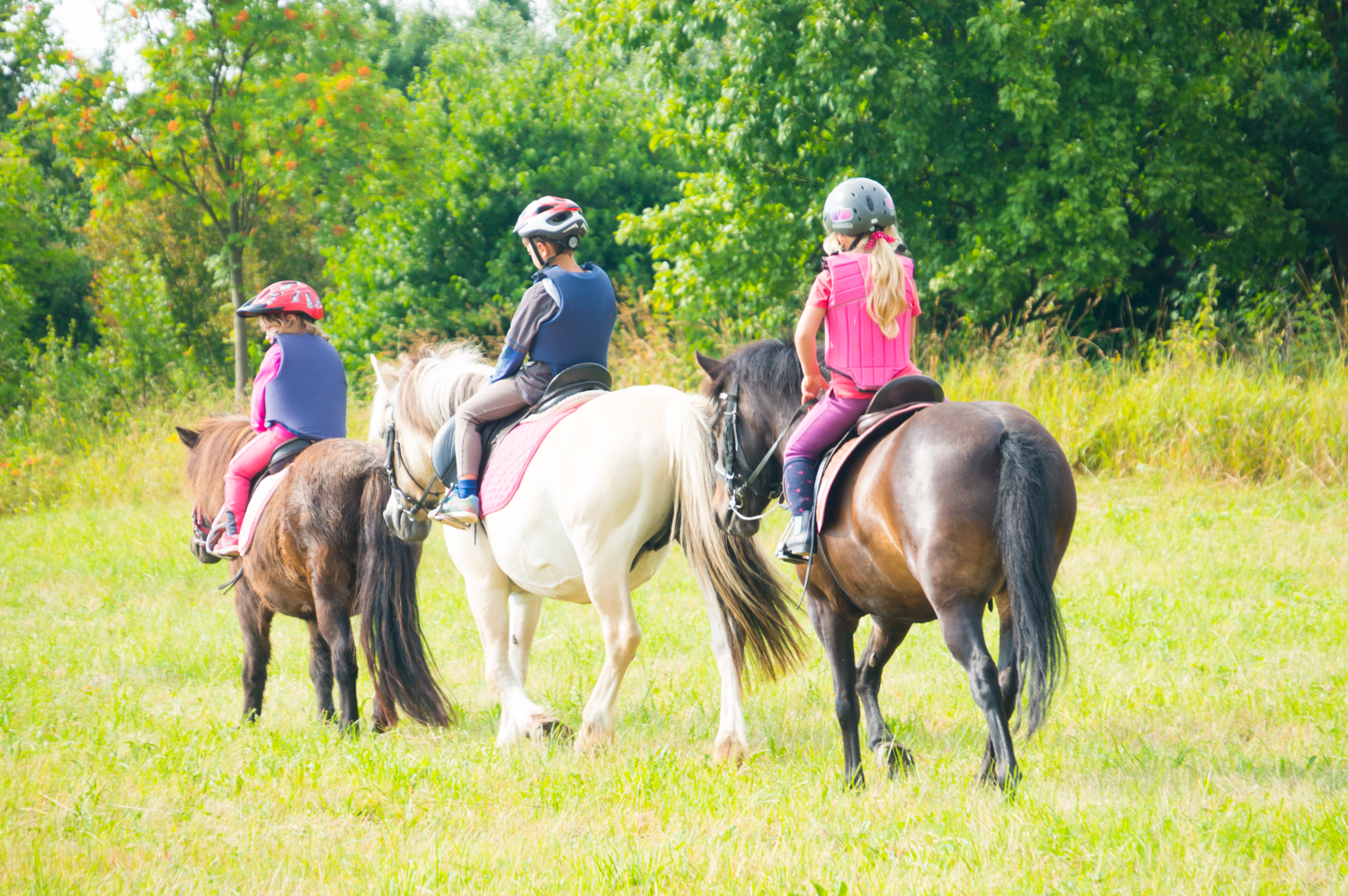 FARMA Loděnice s.r.o. foto 2
