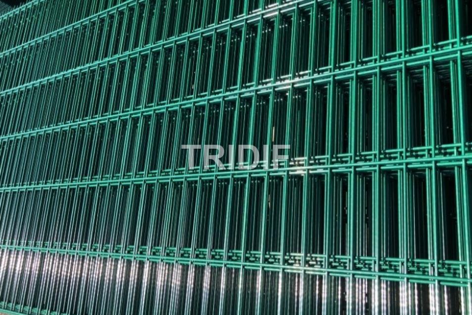 Panel 2D zelený / pr. drátu 6-5-6 mm / 2500 mm