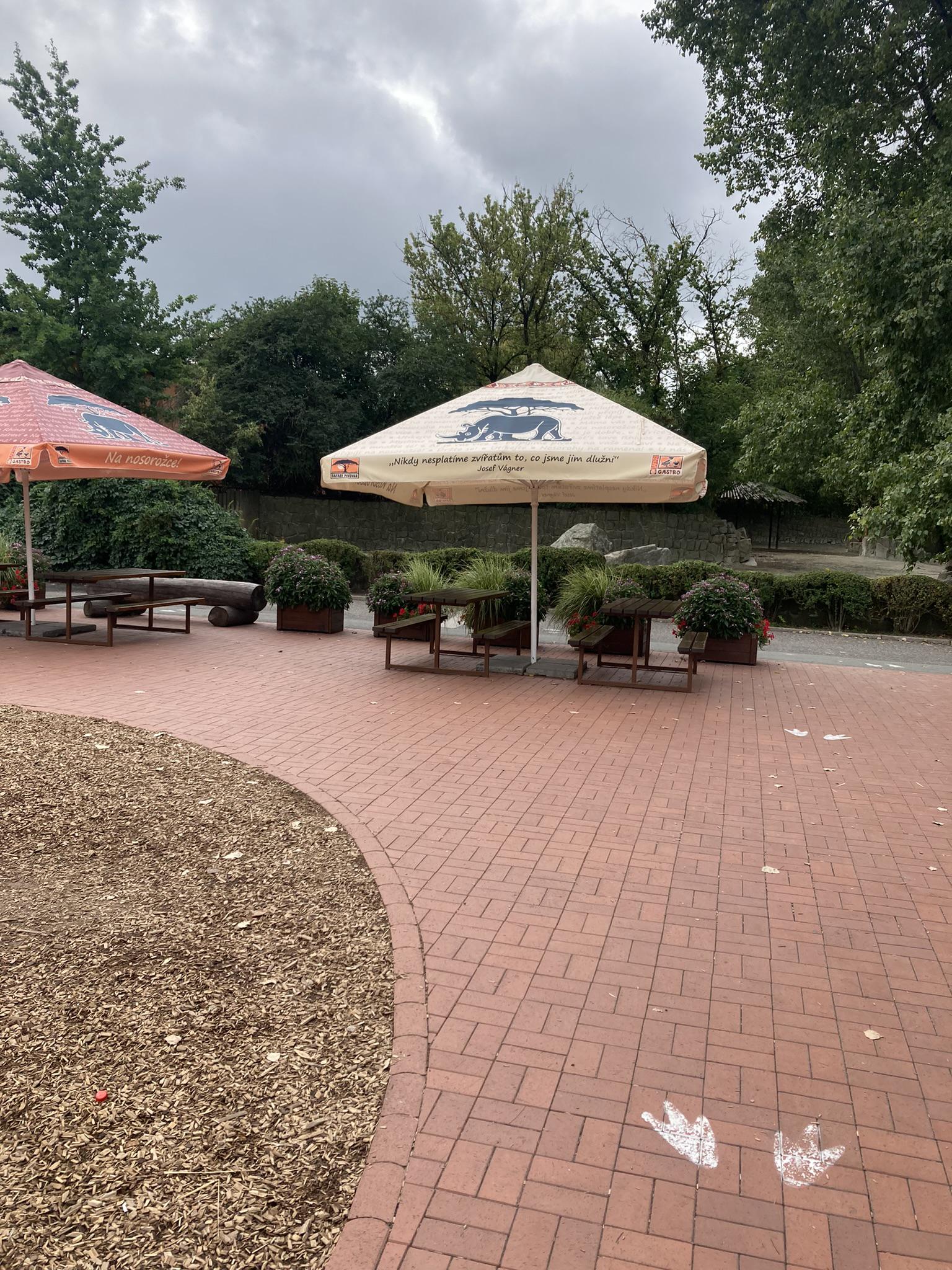 Ice & café KIBO foto 3