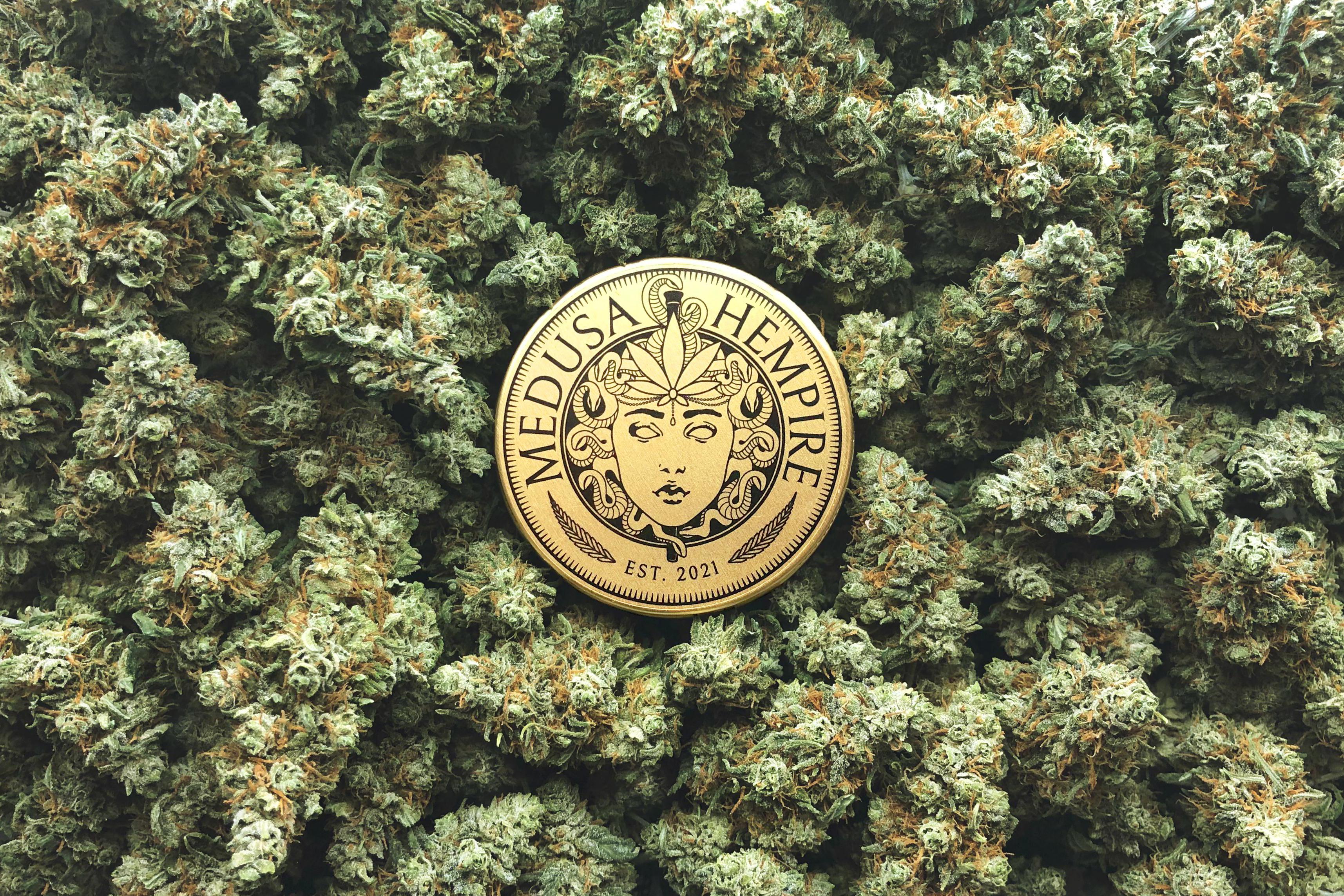 Medusa Hempire s.r.o. foto 1