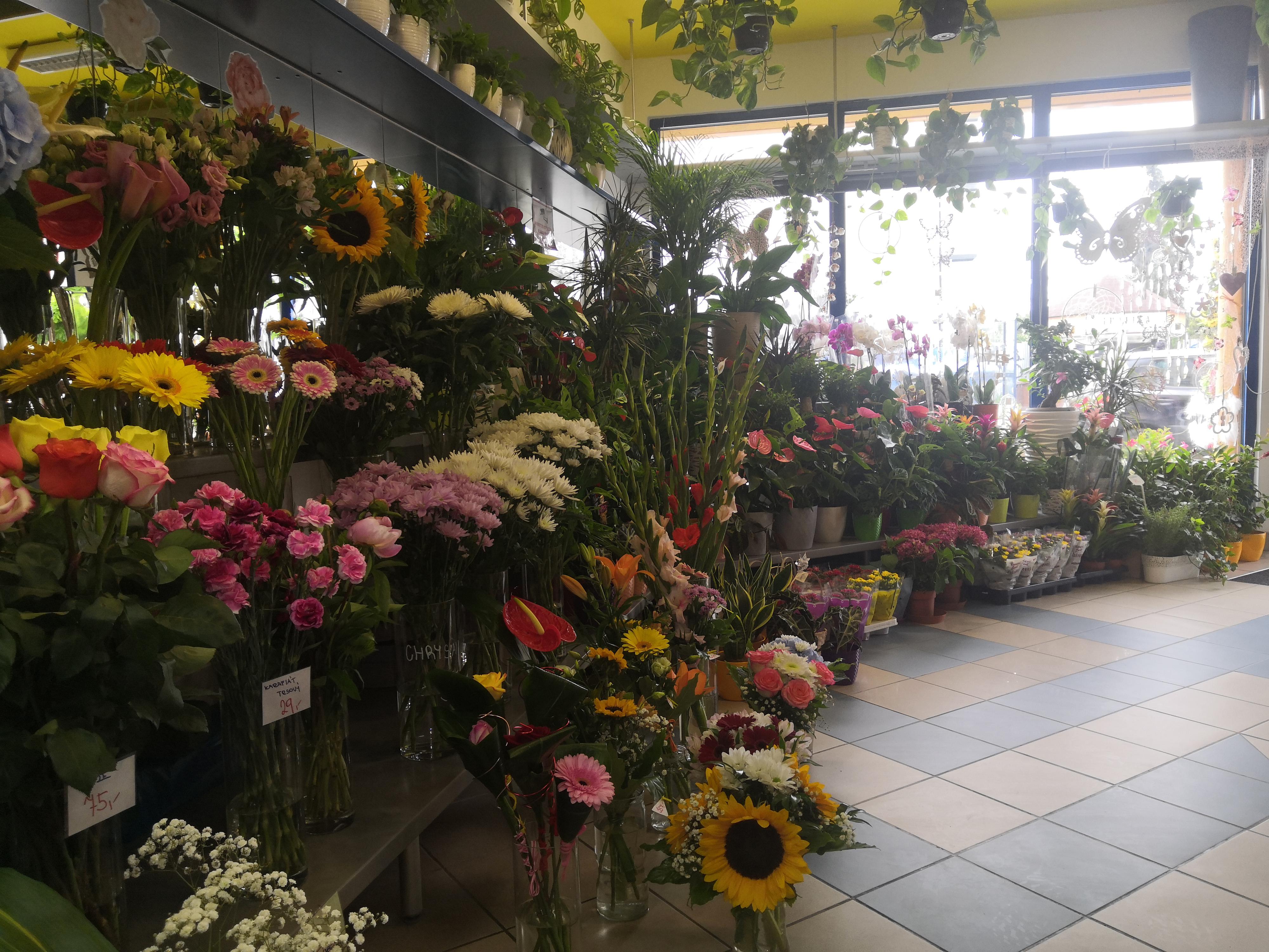 Květinářství Jana Brzobohatá foto 4
