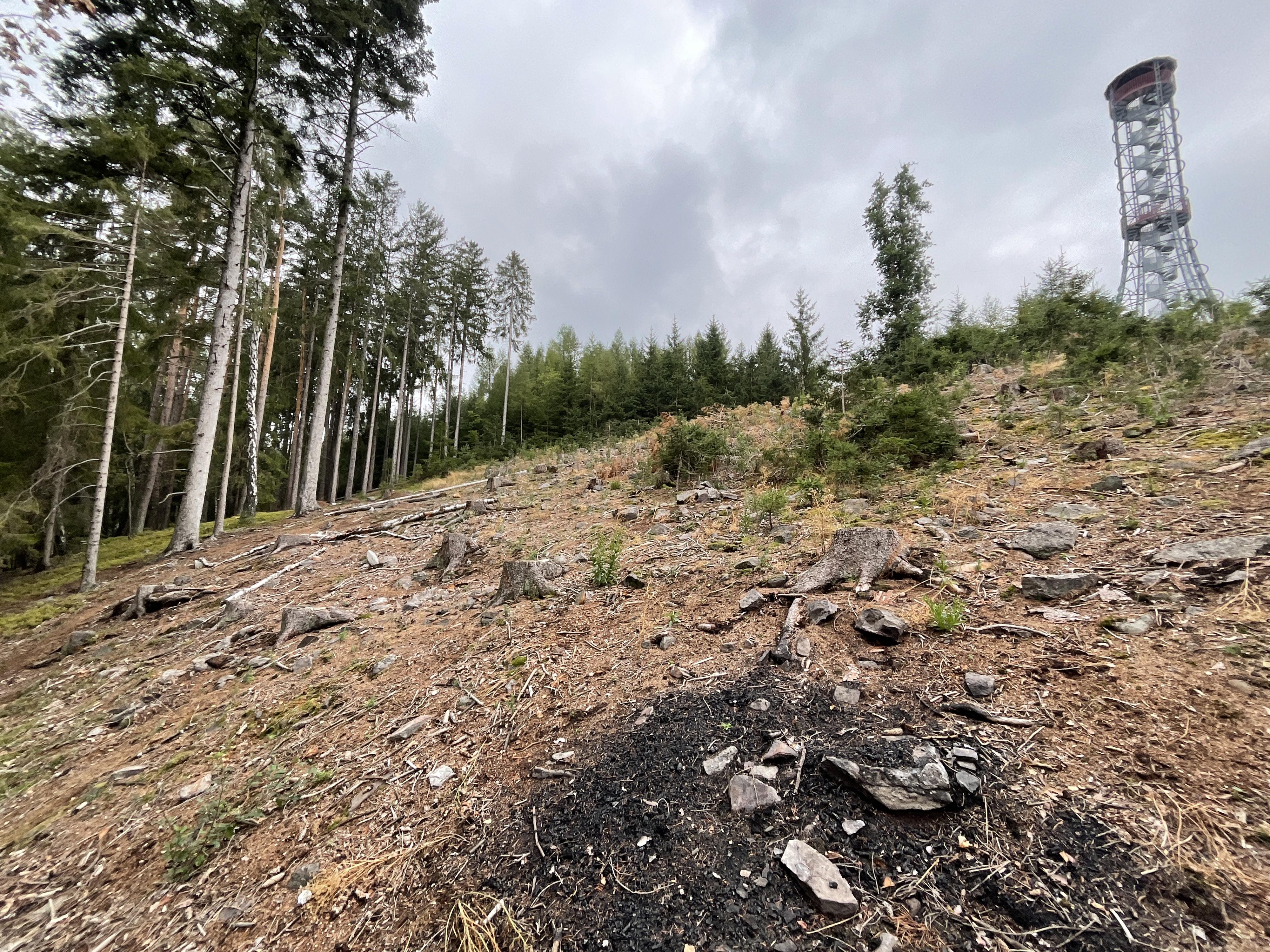 Lesy města Rokycan, s.r.o. foto 3