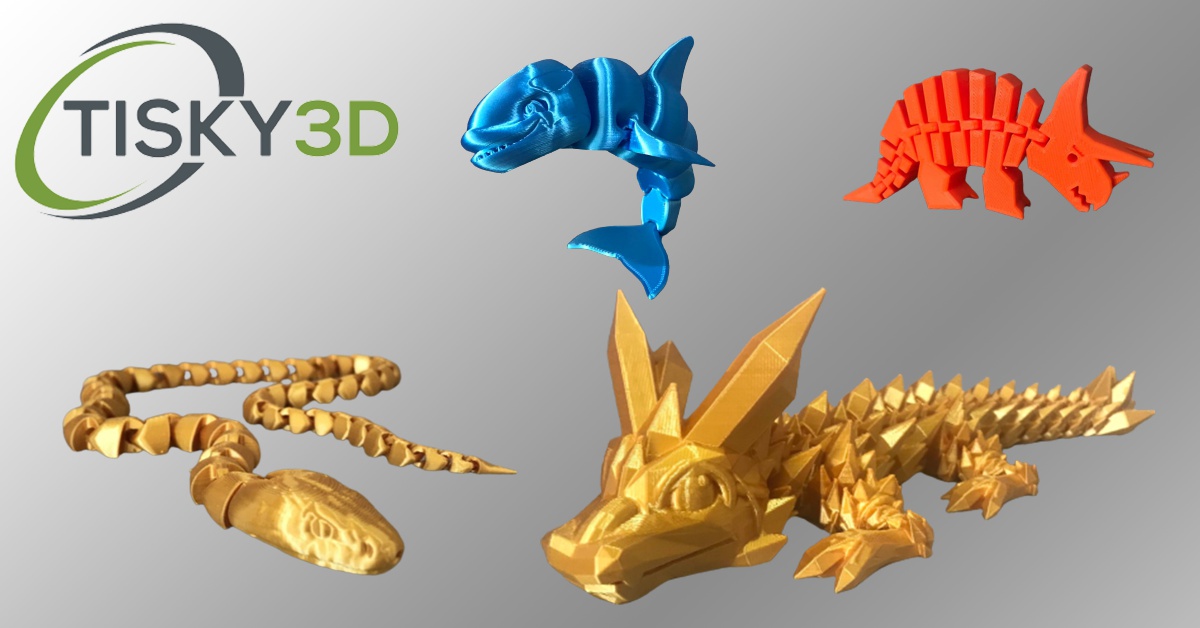 Tisky3D u městského parku foto 1