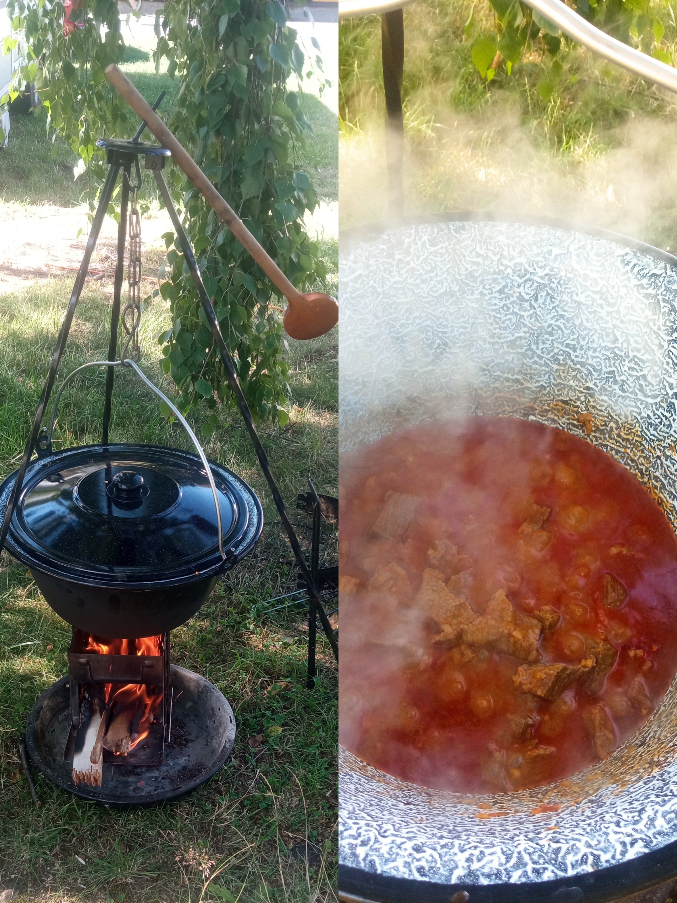 Autocamping Pod Černým lesem foto 6