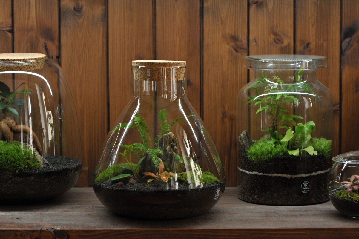 Milujeme mech | e-shop foto 2