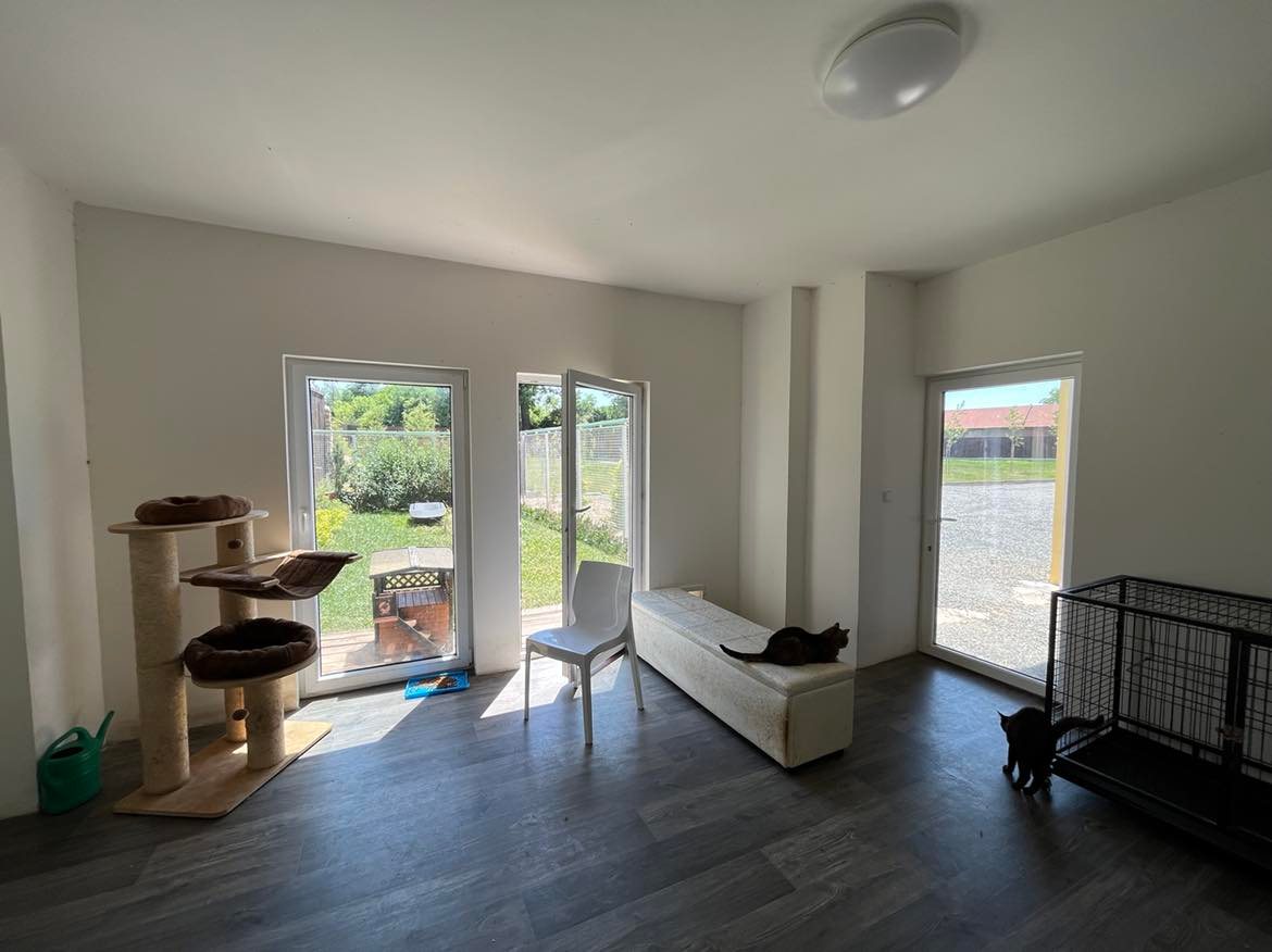 Kočičí útulek ALFONZ ÚMONÍN foto 3