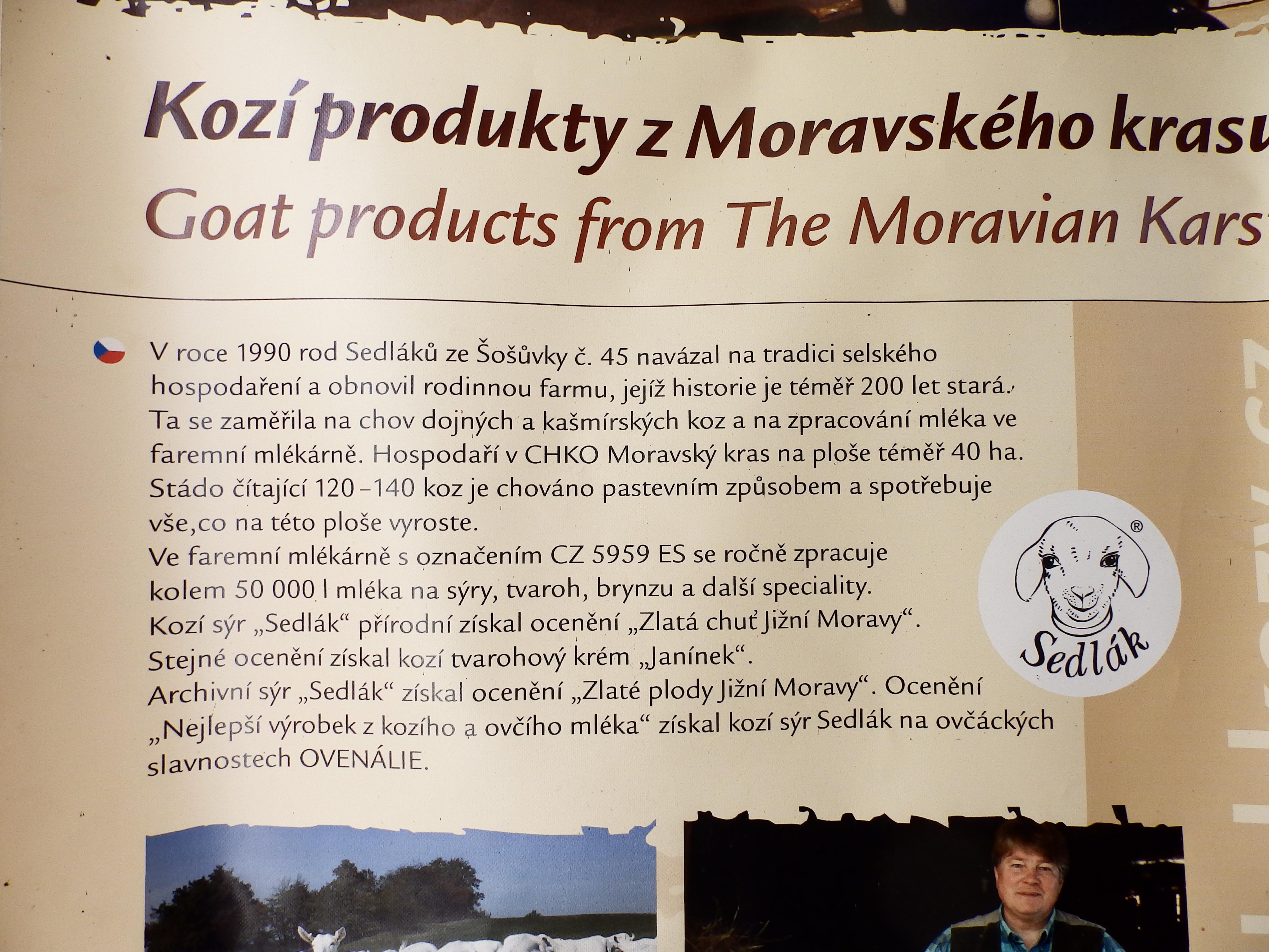 Eva Sedláková -  Farma dojných a kašmírských koz foto 2