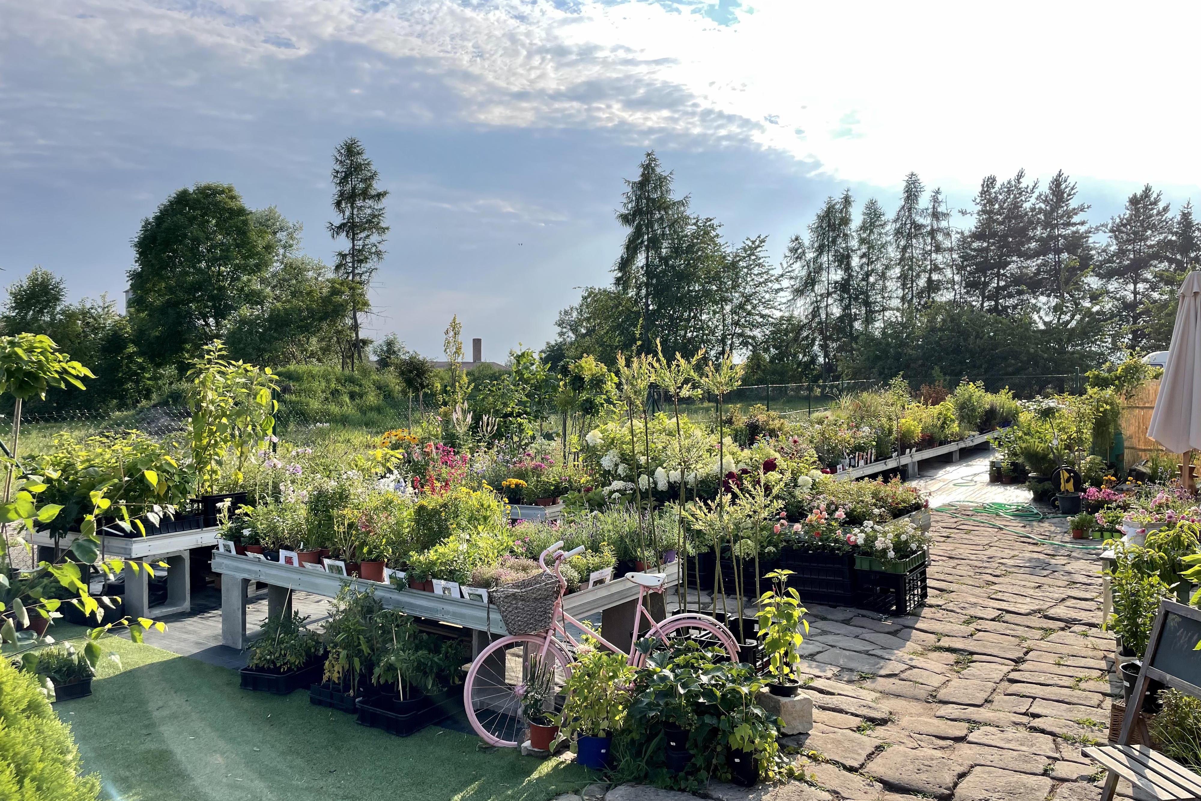 Zahradnictví Kocbeře foto 1