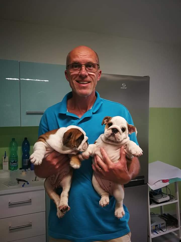 Veterinární ordinace - MVDr. Miroslav Řehák foto 2