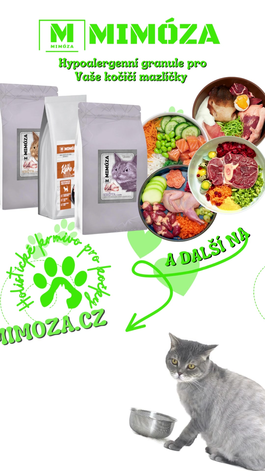 mimoza.cz foto 2 (náhled videa)