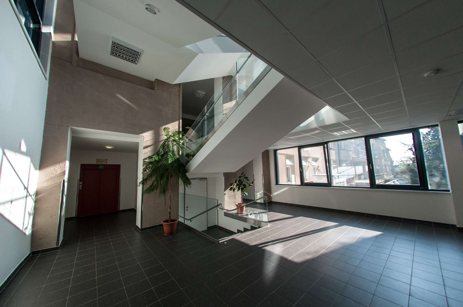 MUDr. Josef Kašík - Endoskopické operace foto 2