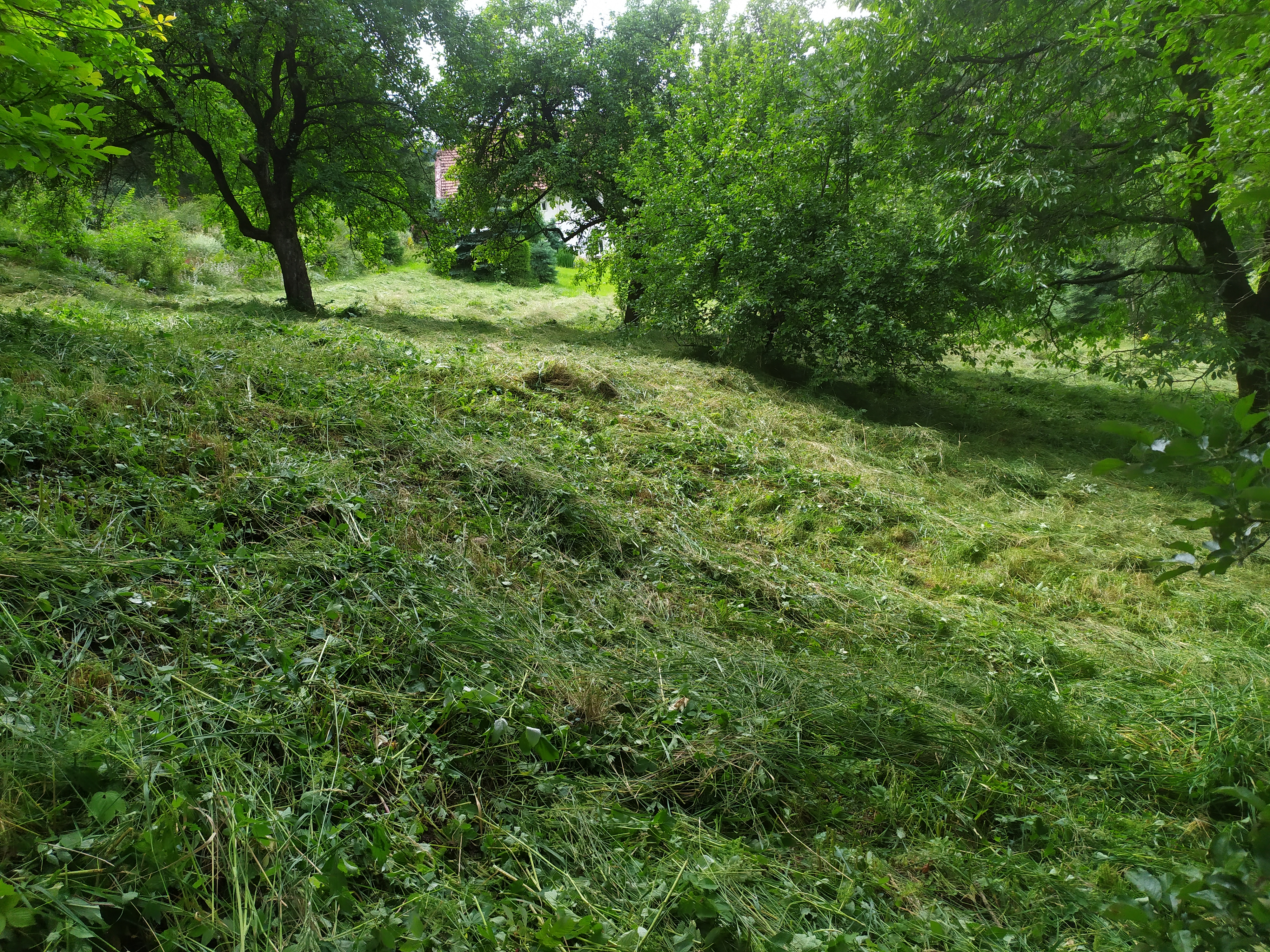 Bajer - dům, byt, zahrada foto 4