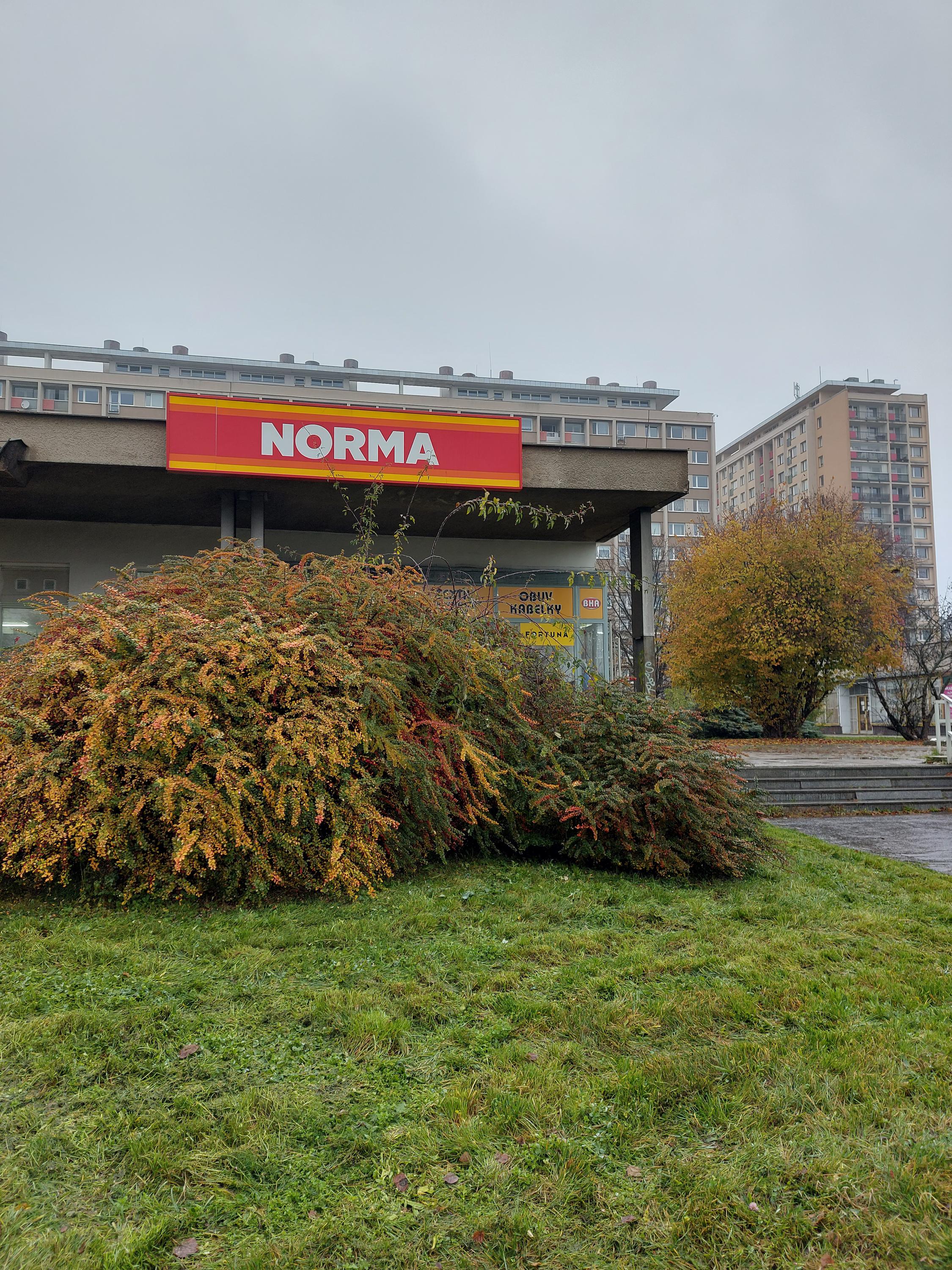NORMA foto 5