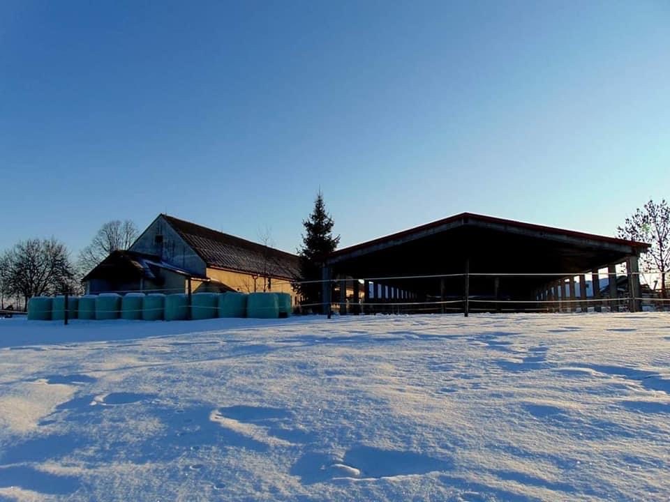 Stáj Bašata Studnice