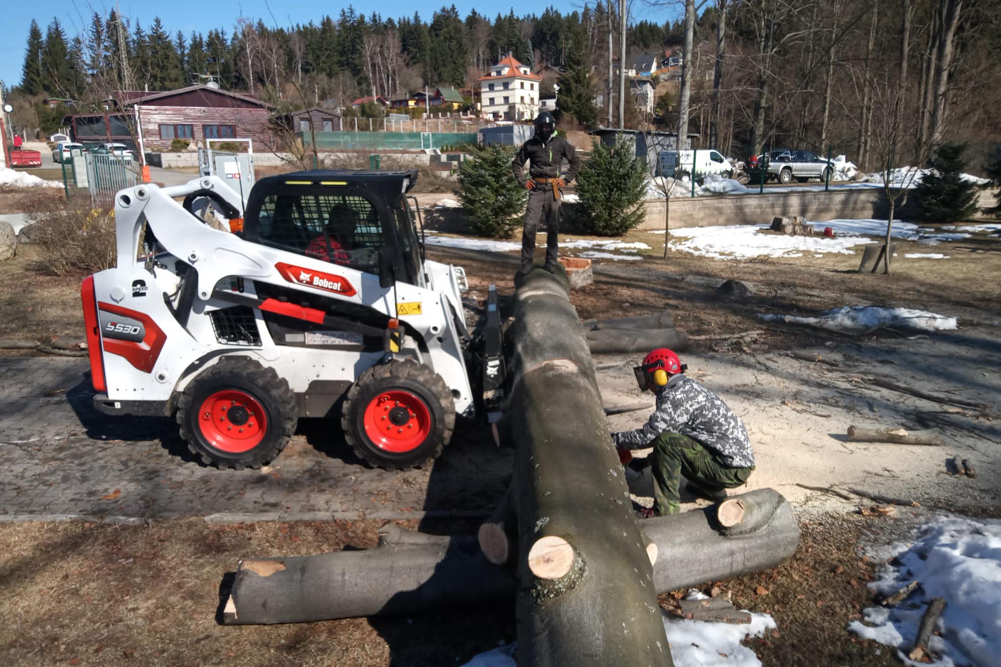 BERAN - Rizikové kácení stromů, údržba zeleně a výškové práce