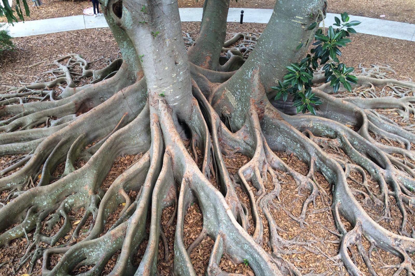 Osobní poradenství - Šnelerová