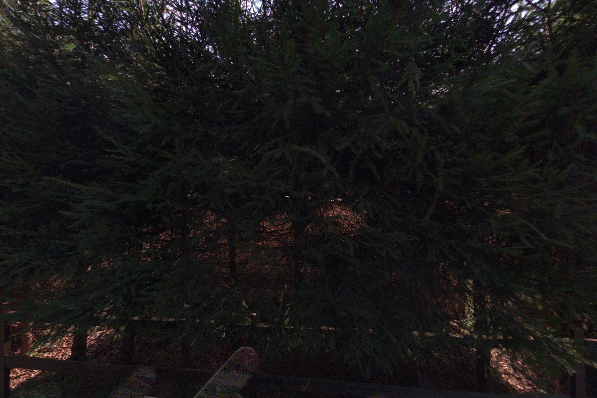 Autokemp Světlíková