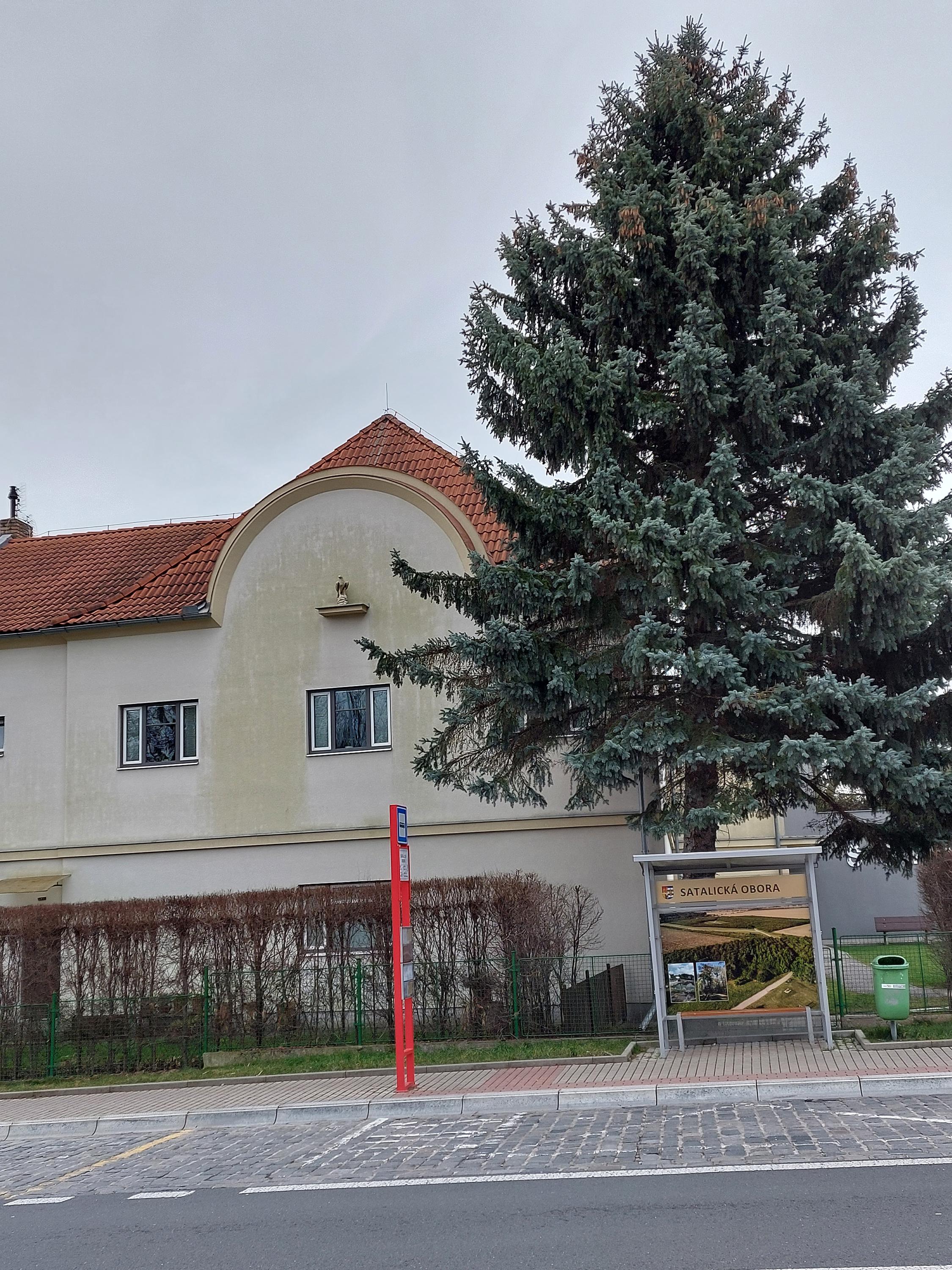 Tělocvičná jednota Sokol Satalice foto 2