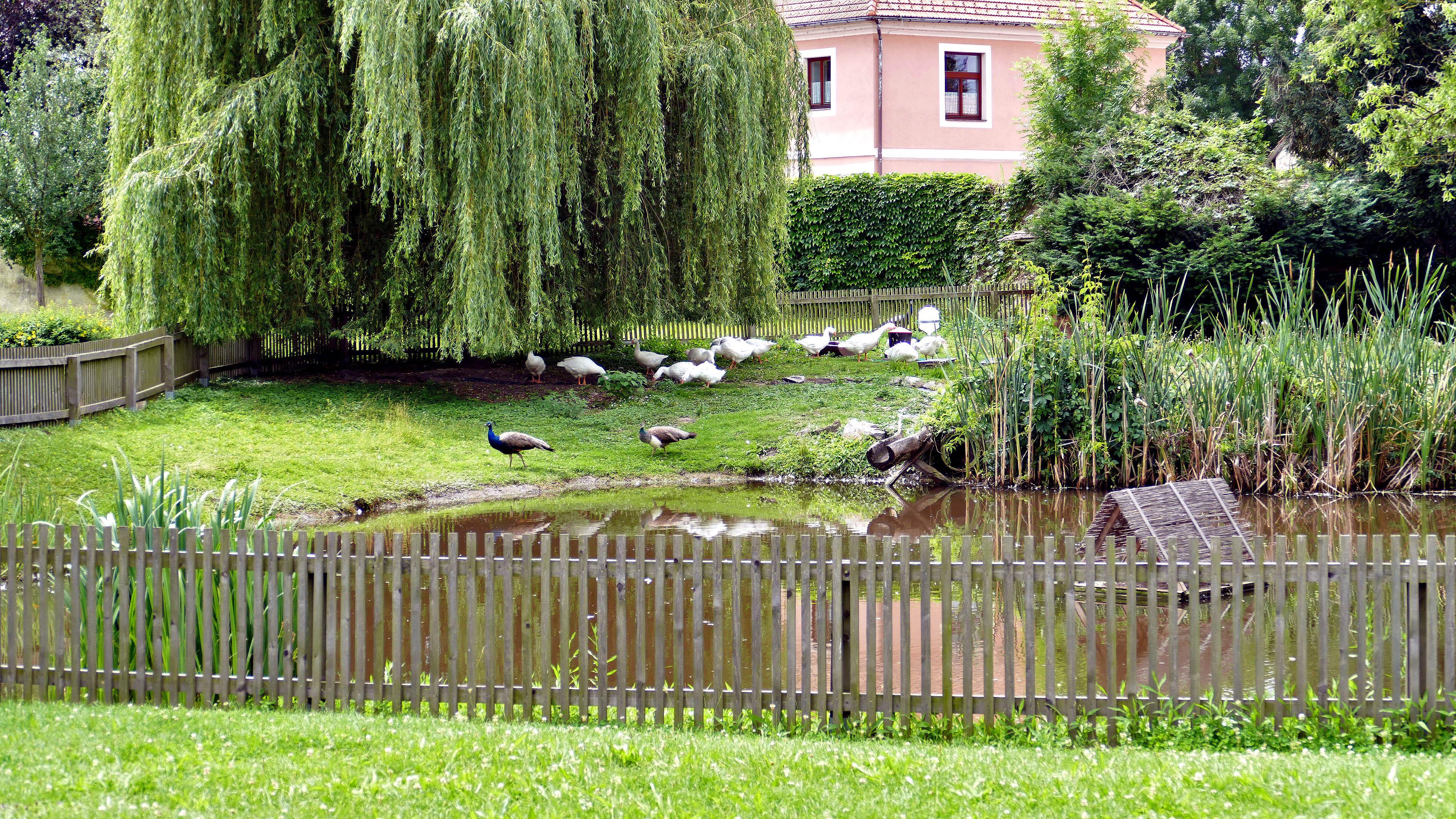 Zámecké zahradnictví foto 6