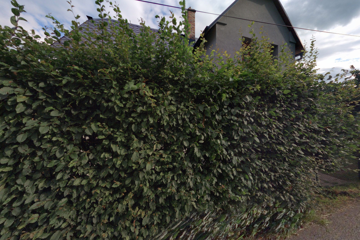 Jindřich Jánský - Komunální práce