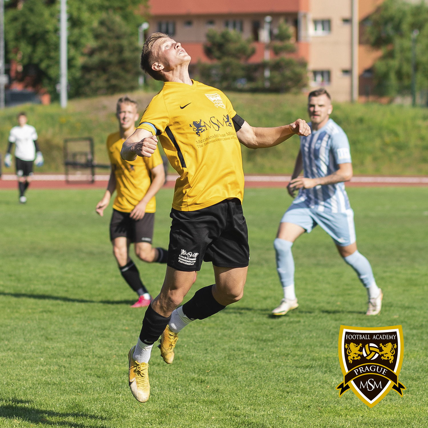 MSM Football Academy foto 2