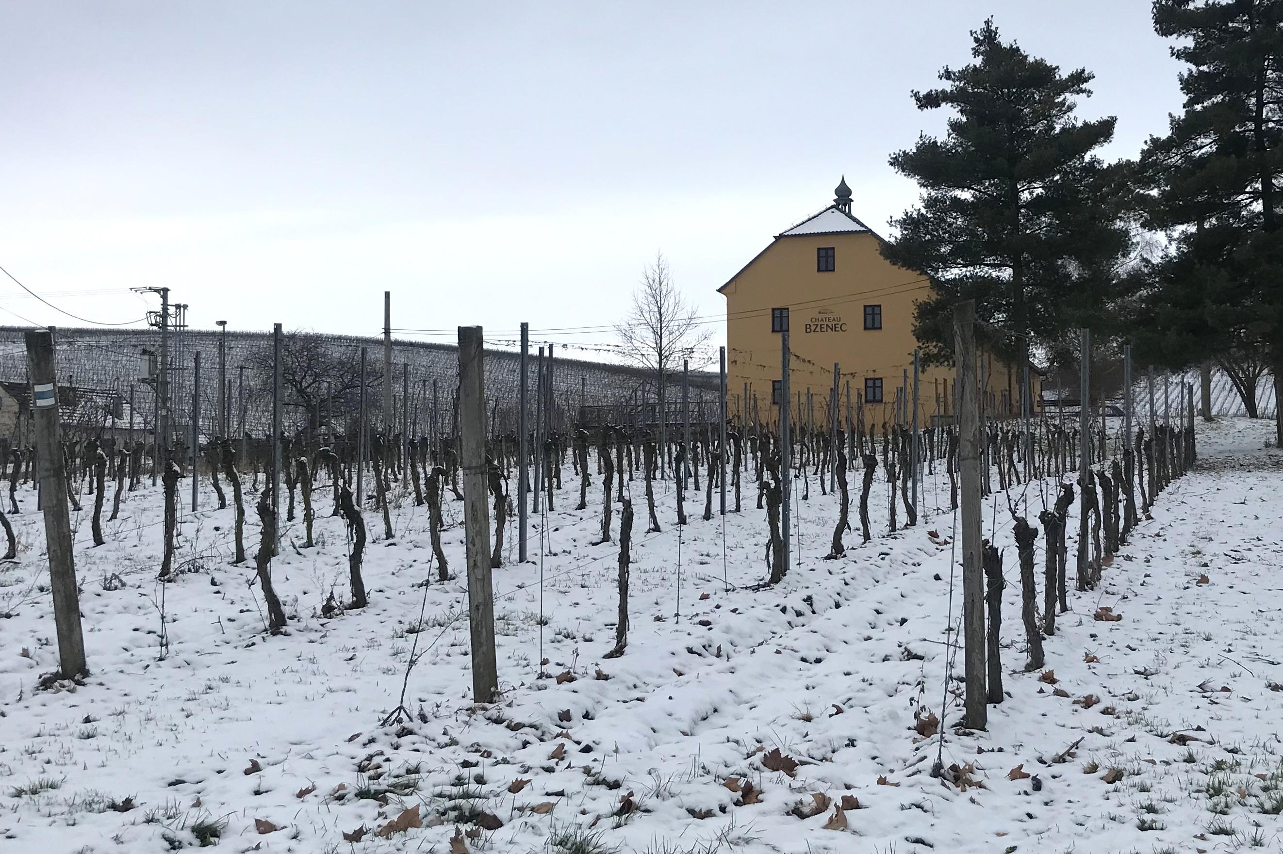 Vinařství Chateau Bzenec foto 3