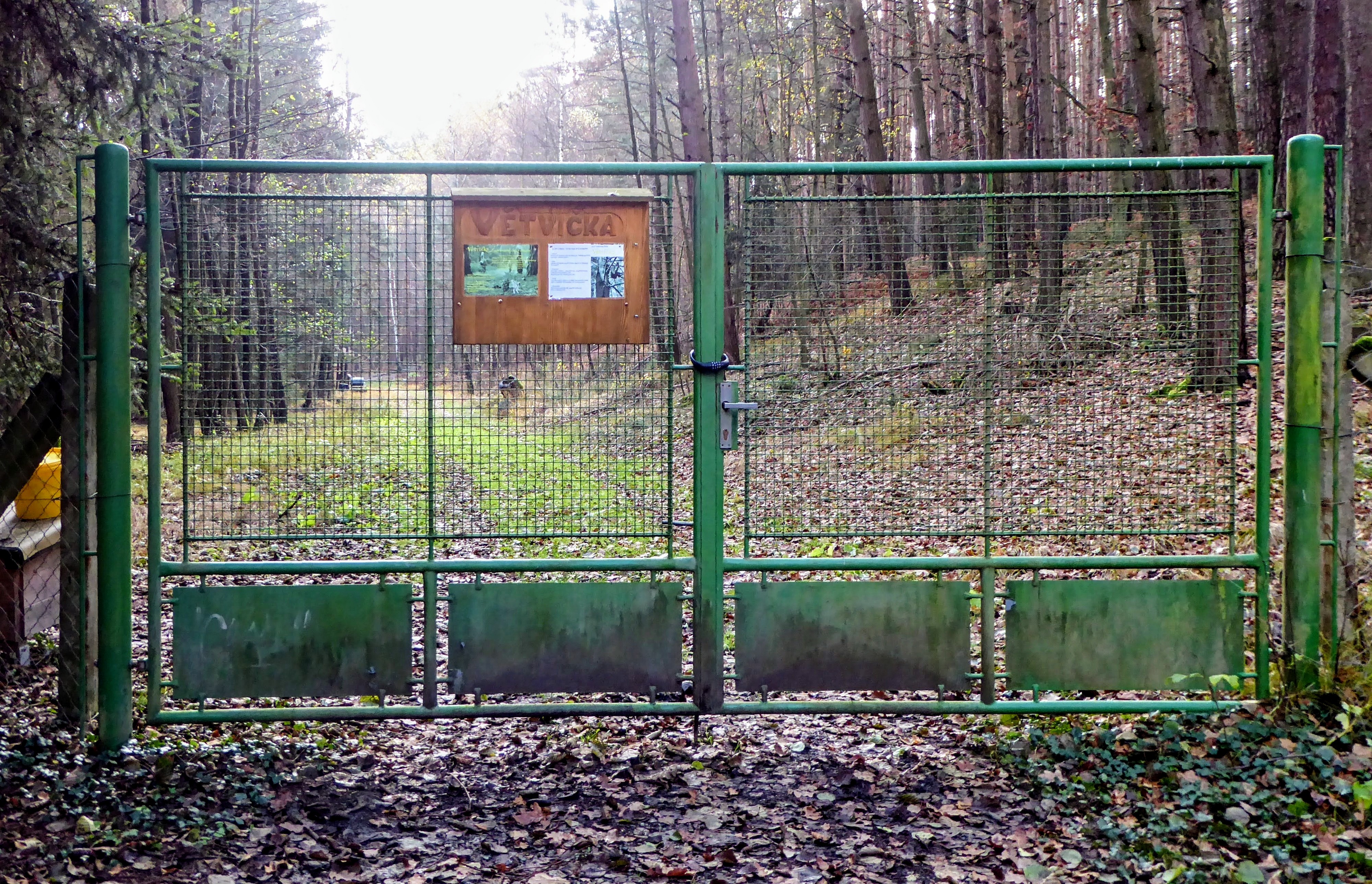 Lesní školka Větvička foto 5