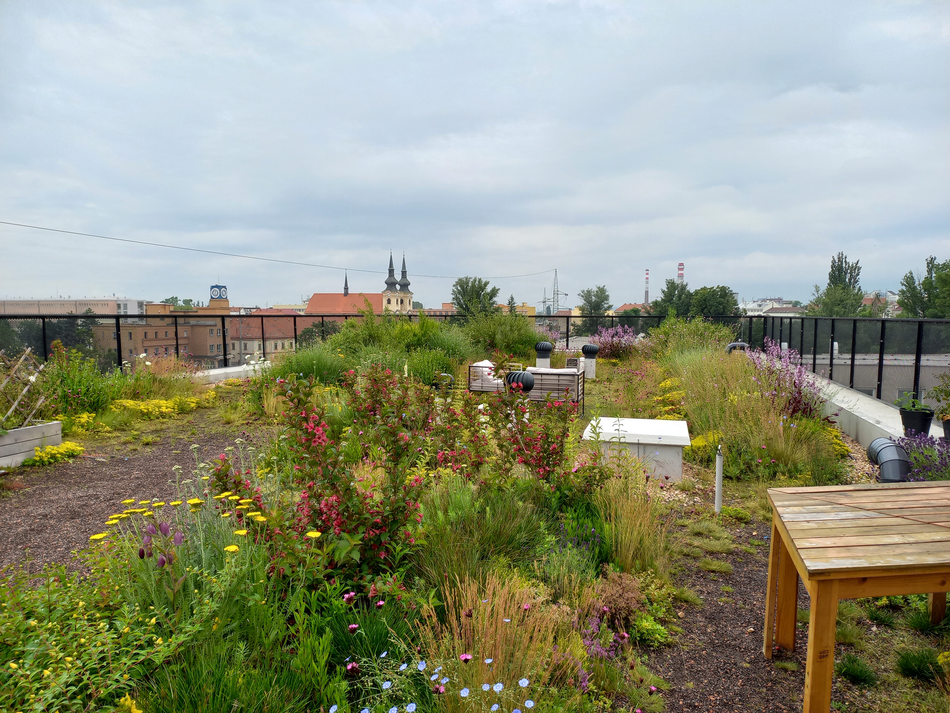 GreenVille - zelené střechy foto 3