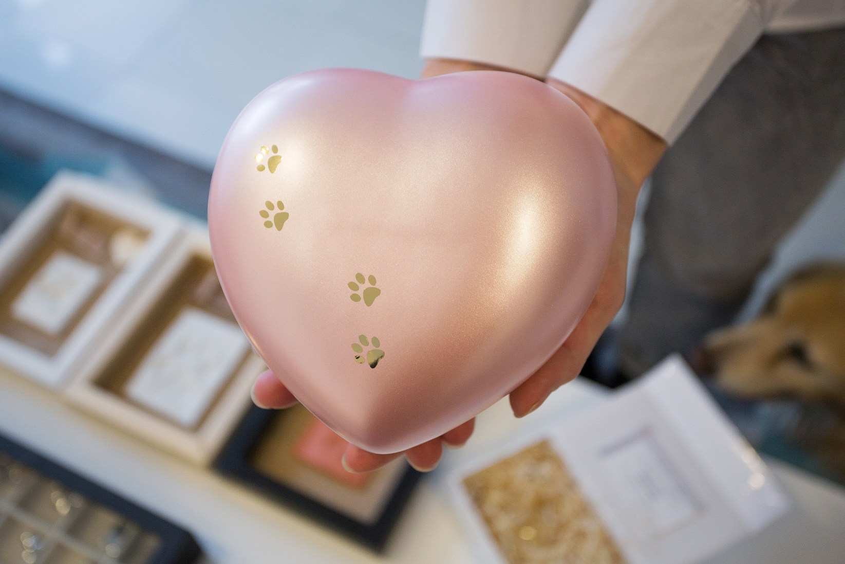 Kremace zvířat Budějovice foto 6