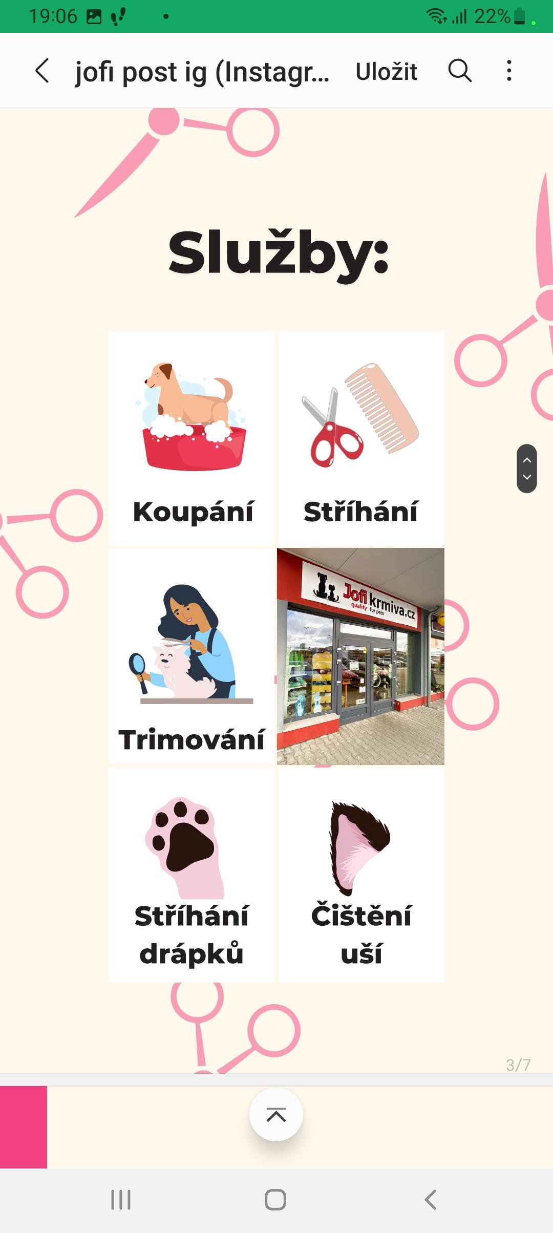 Péče o psy a kočky Simona Kuhn foto 6