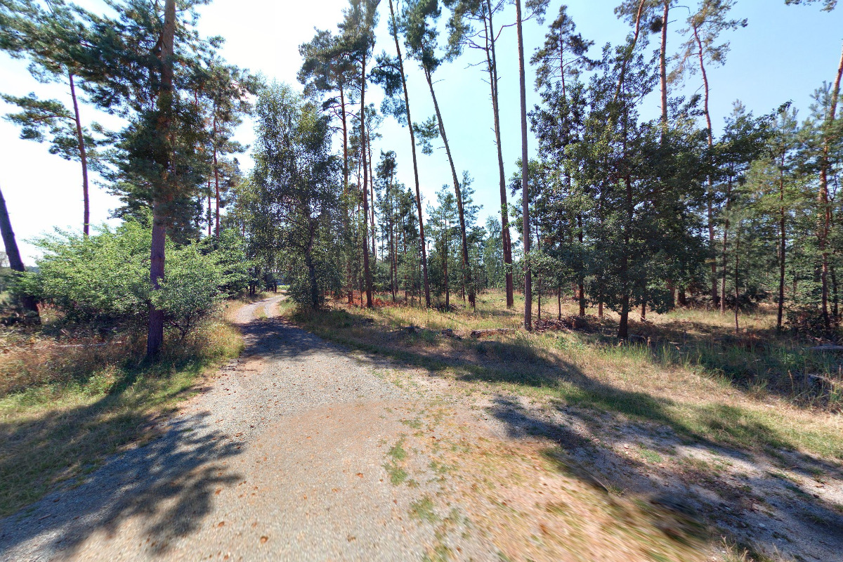 ČAROVĚNÍKY-VALENTA