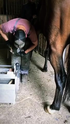 Podkovář Šimon Jurovic foto 2 (náhled videa)