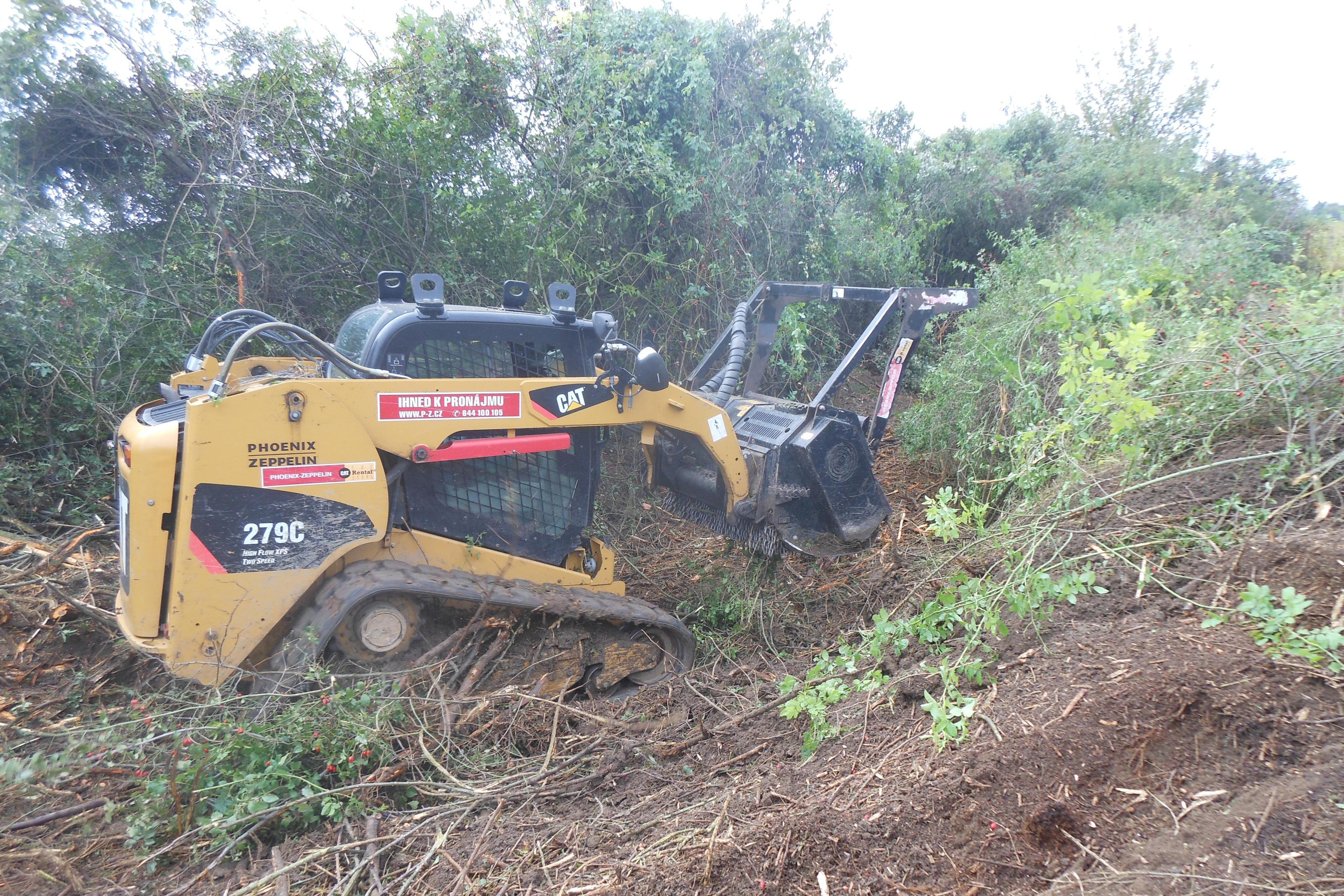 Trápí Vás náletové dřeviny?