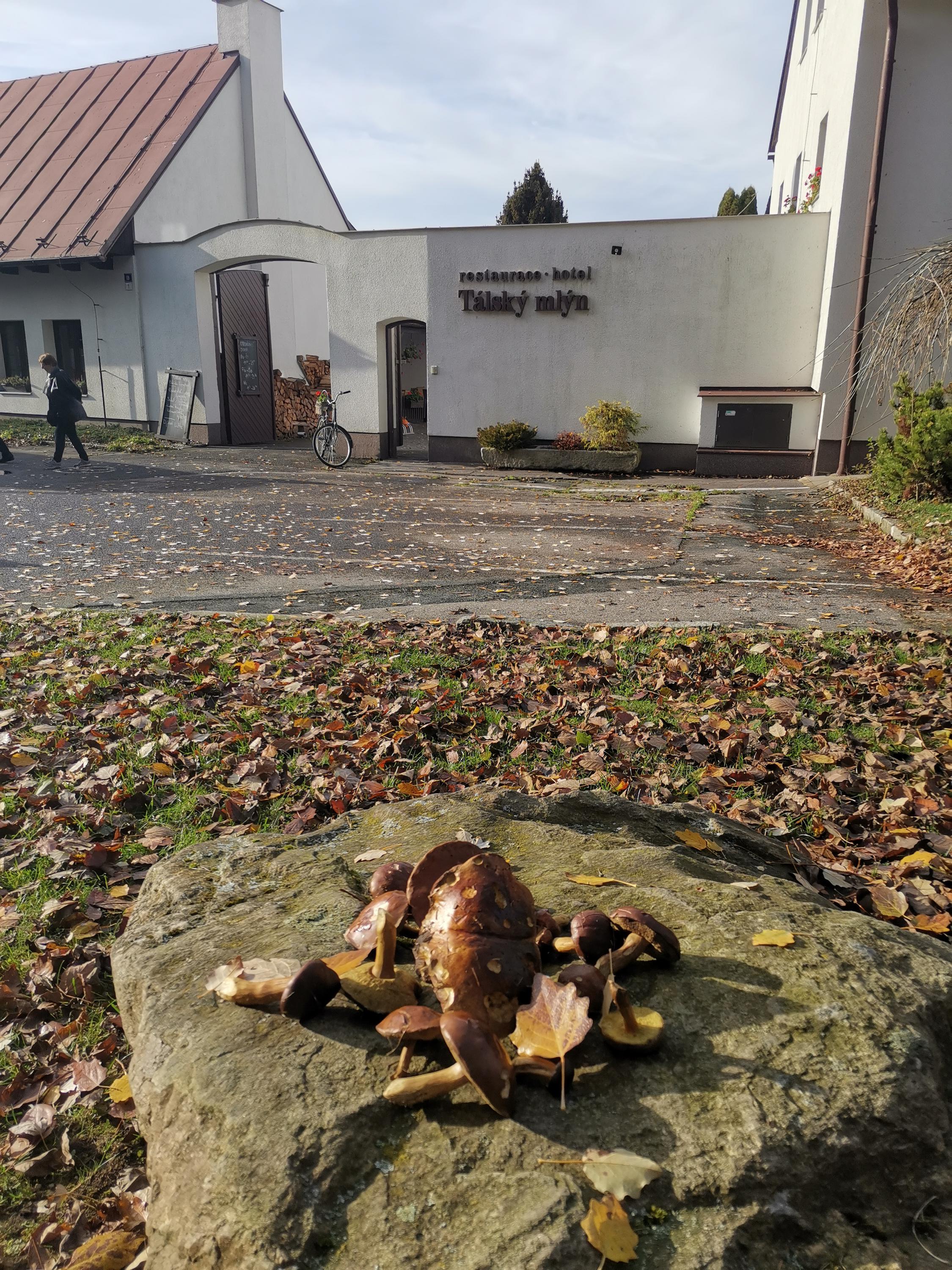 Hostinec Tálský mlýn foto 2