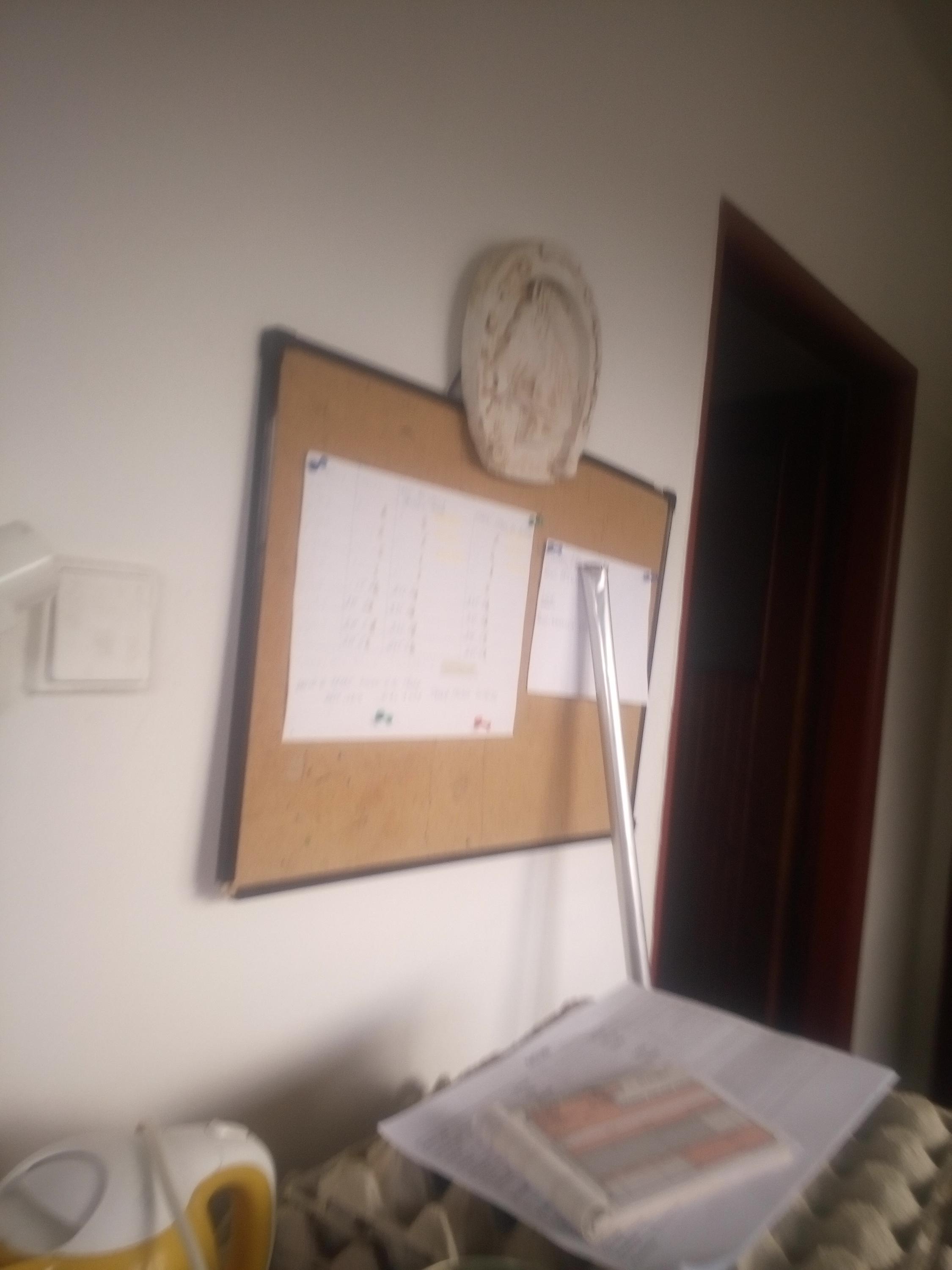 Psí hotel ve statku foto 2