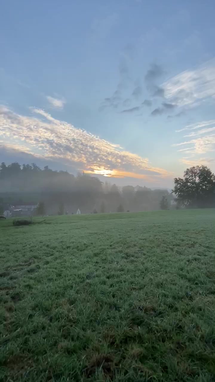 Tábořiště a stellplatz Eldorádo - bezkempu.cz foto 2 (náhled videa)