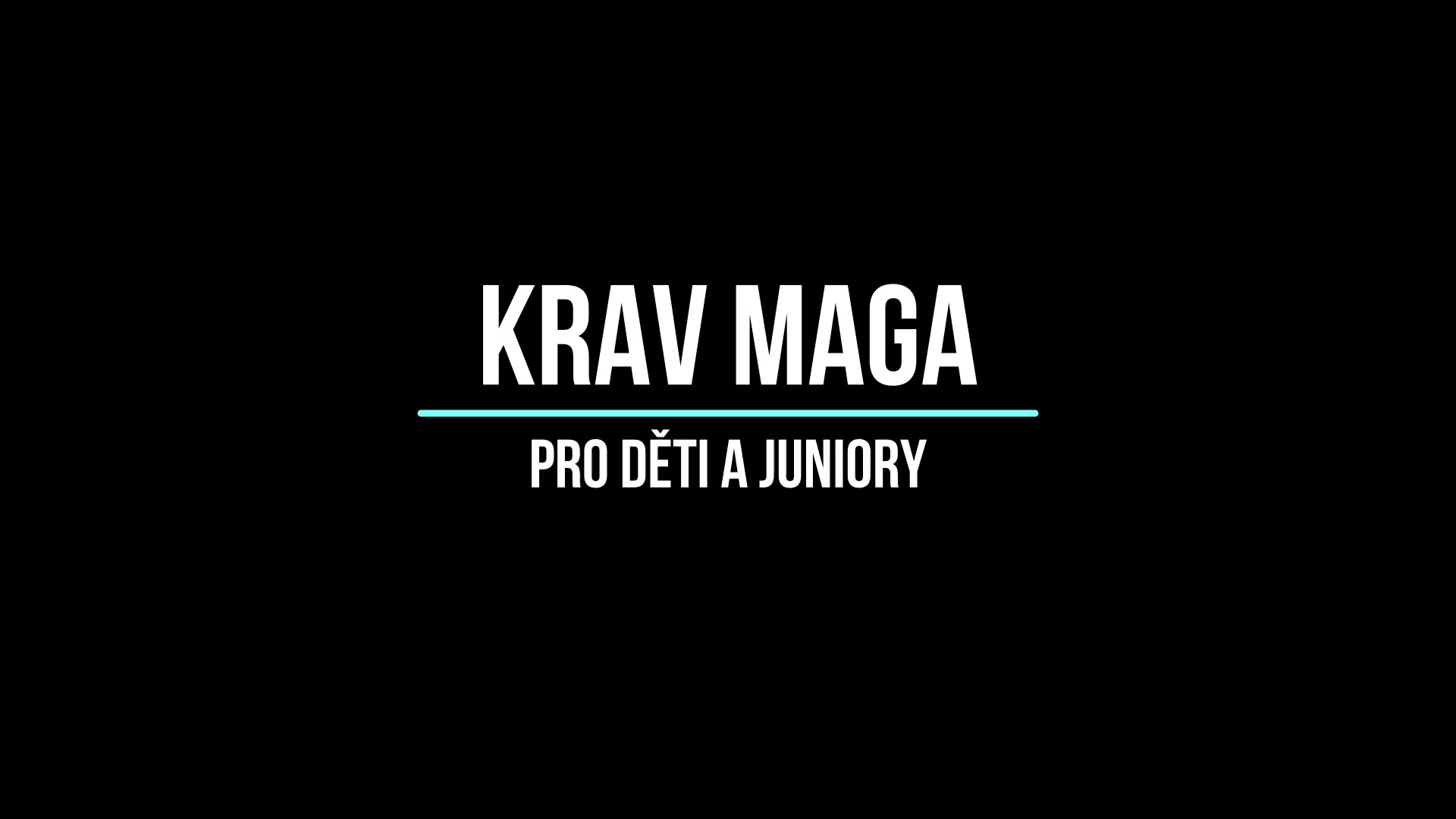 Krav Maga Centrum foto 2 (náhled videa)