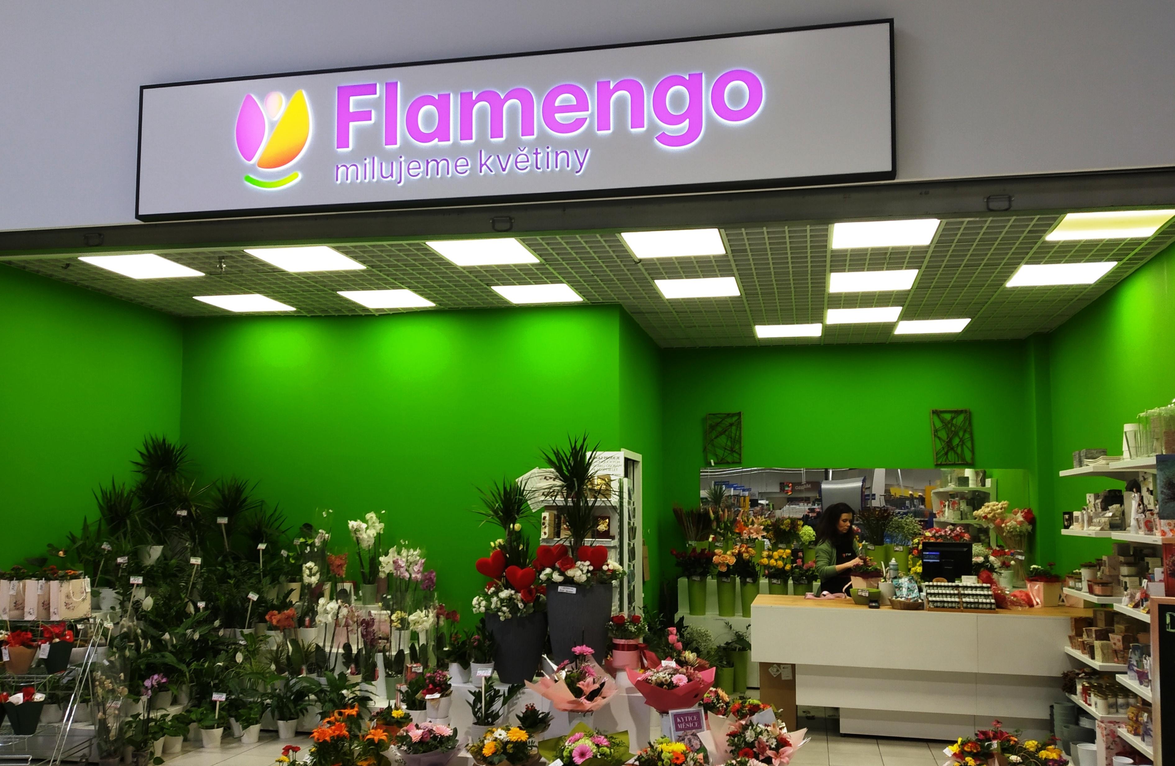 Flamengo květiny foto 2