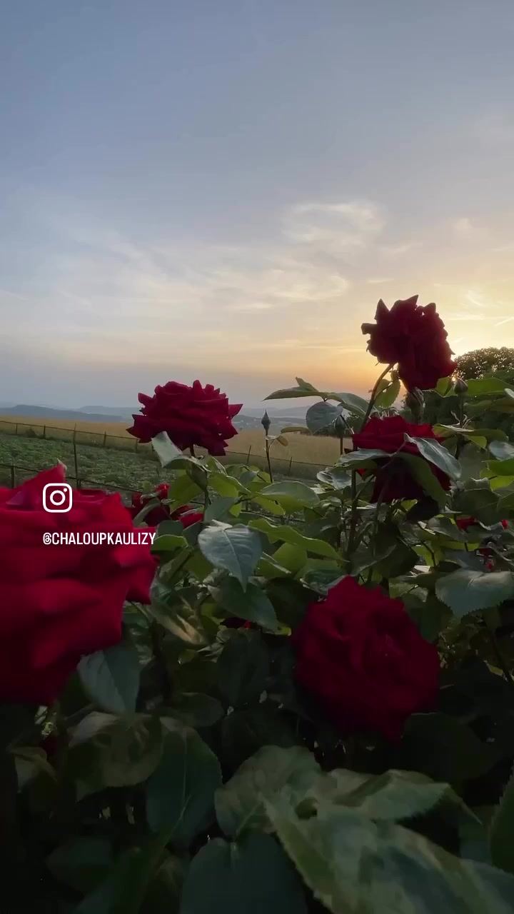 Chaloupka u Lízy foto 2 (náhled videa)