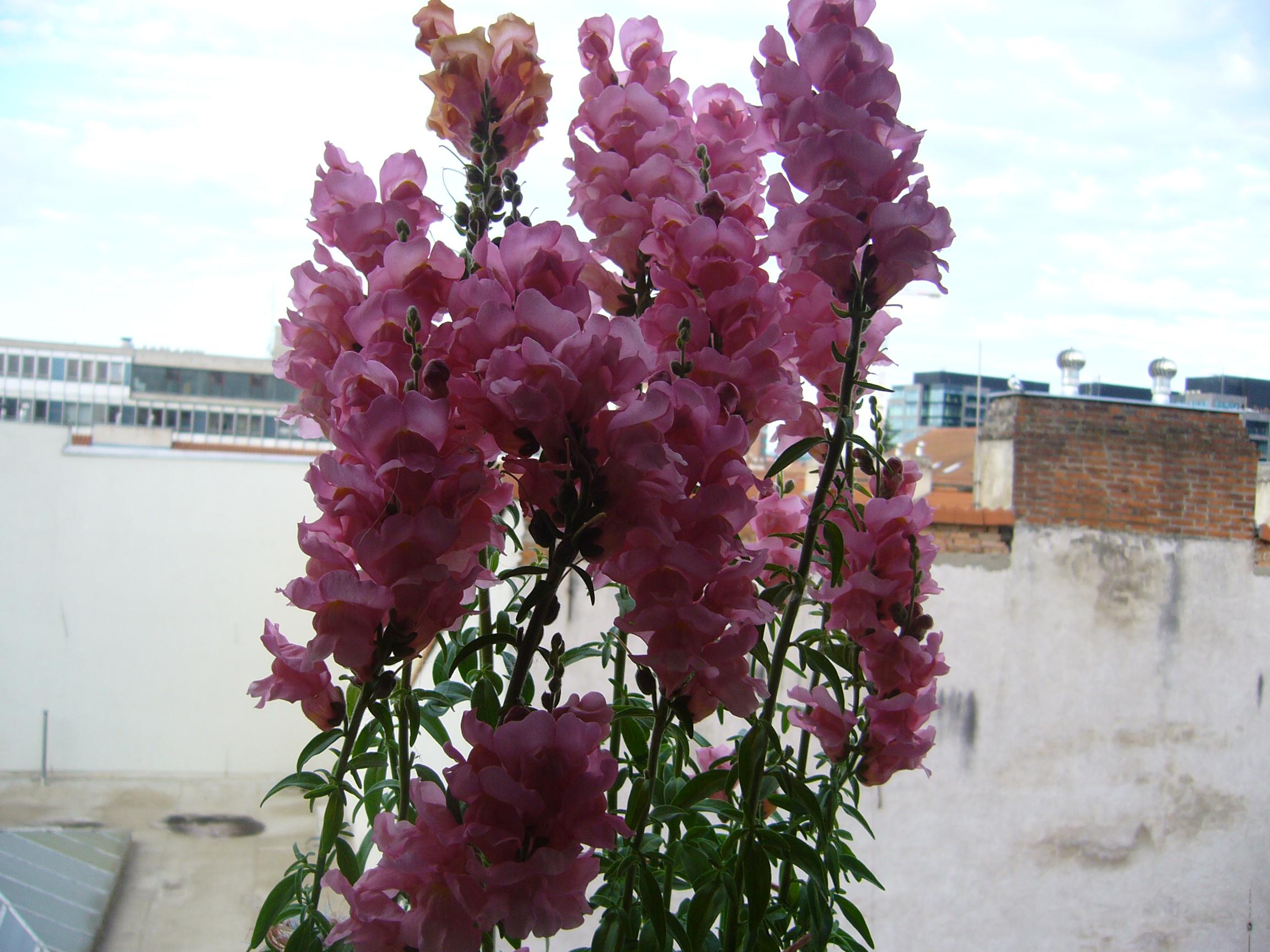 Domov pro seniory Okružní foto 4