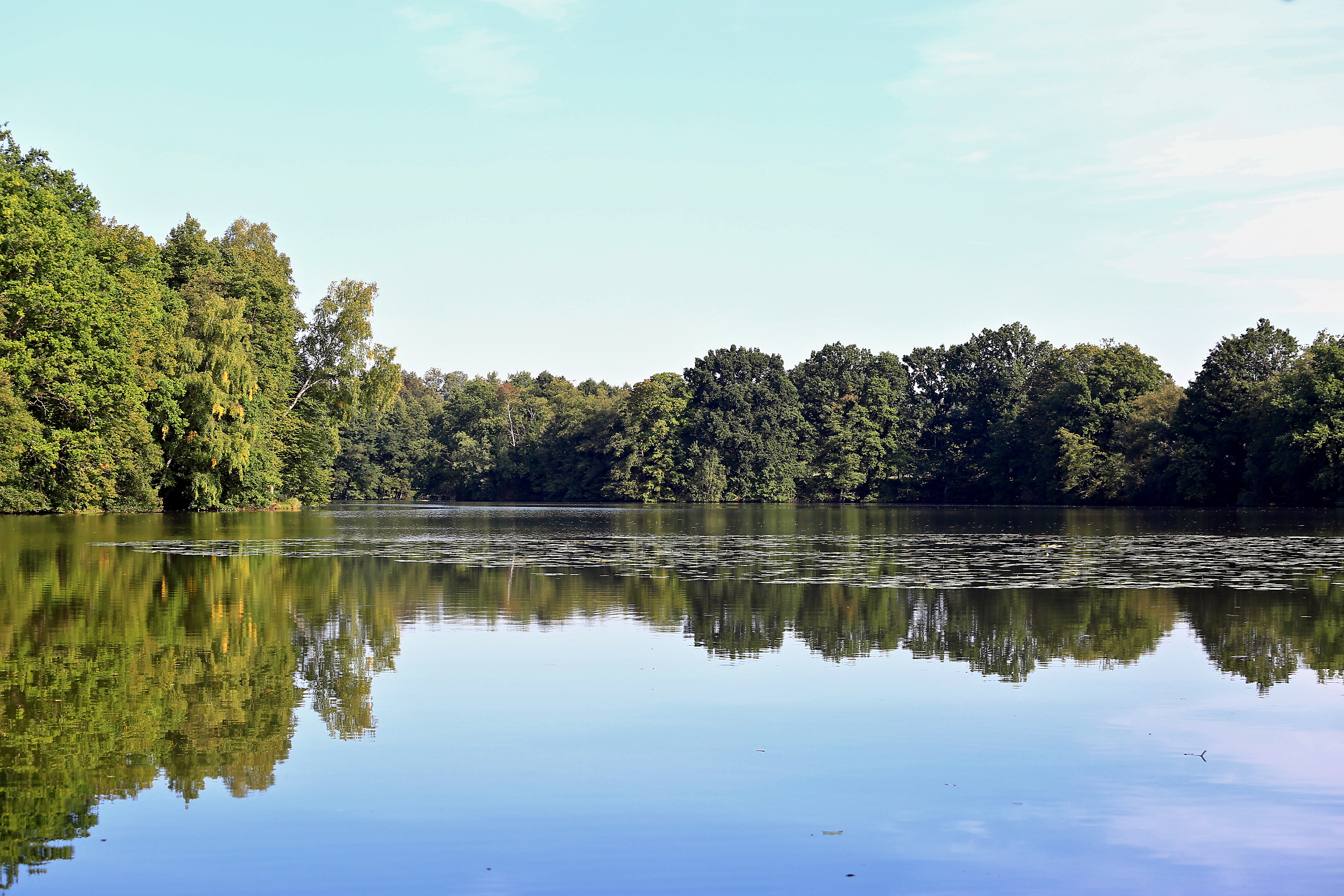 Evžen Wratislav - Rybolov Zámecký