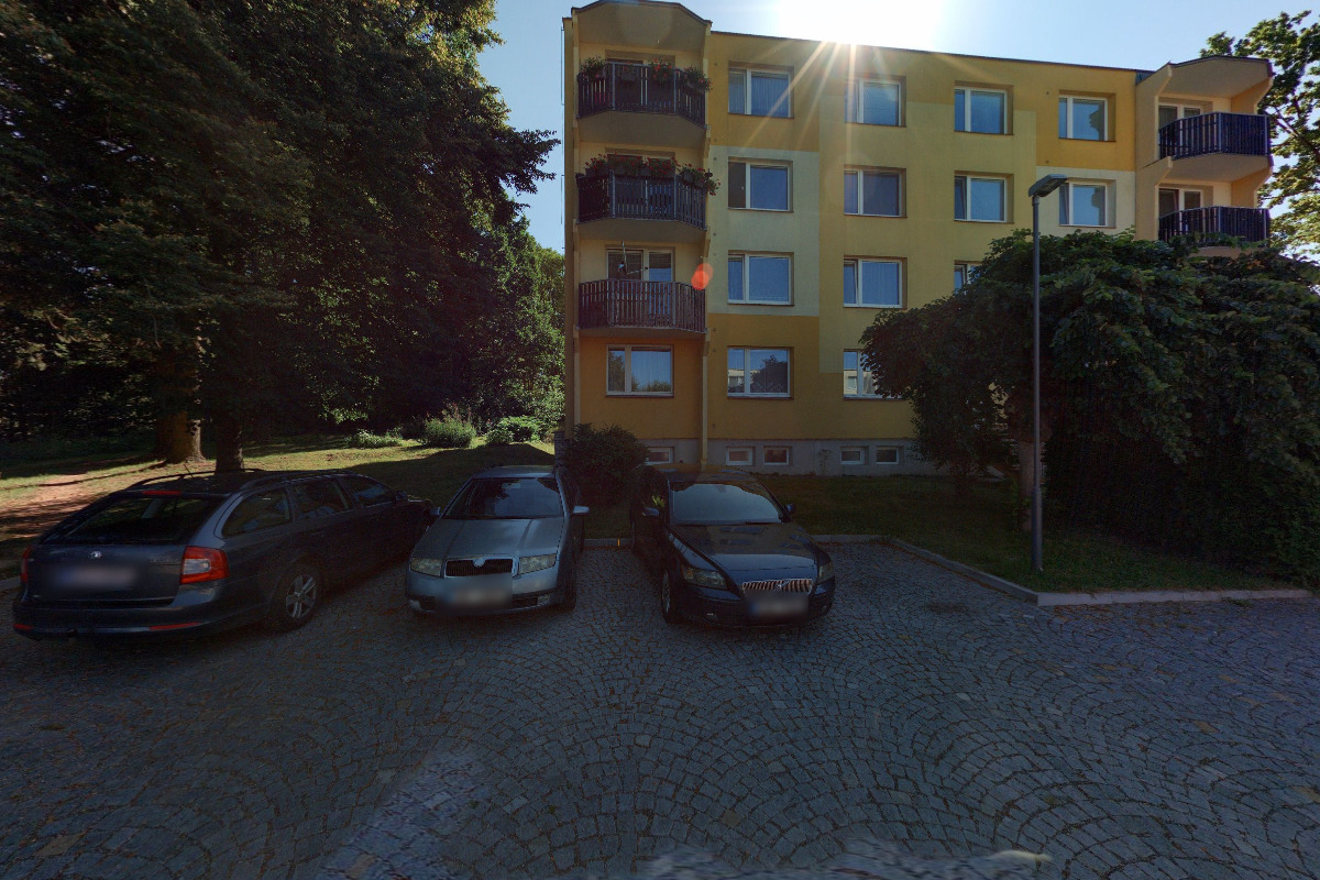 Profesionální výkon statutárního orgánu pro SVJ