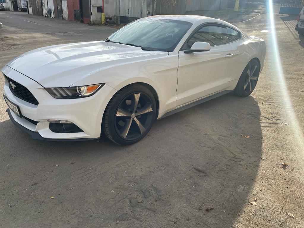 VondrovaKarolina s.r.o. foto 2