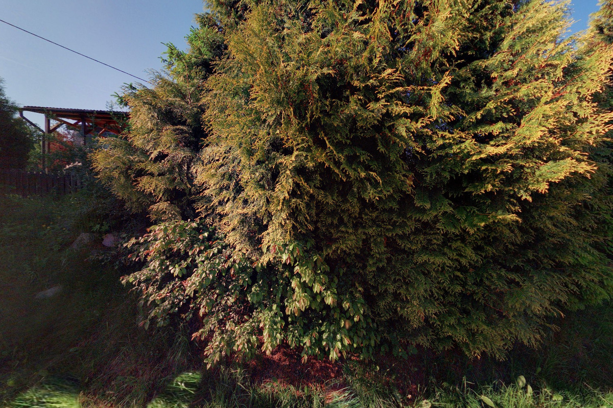 Tesařství Švidrnoch