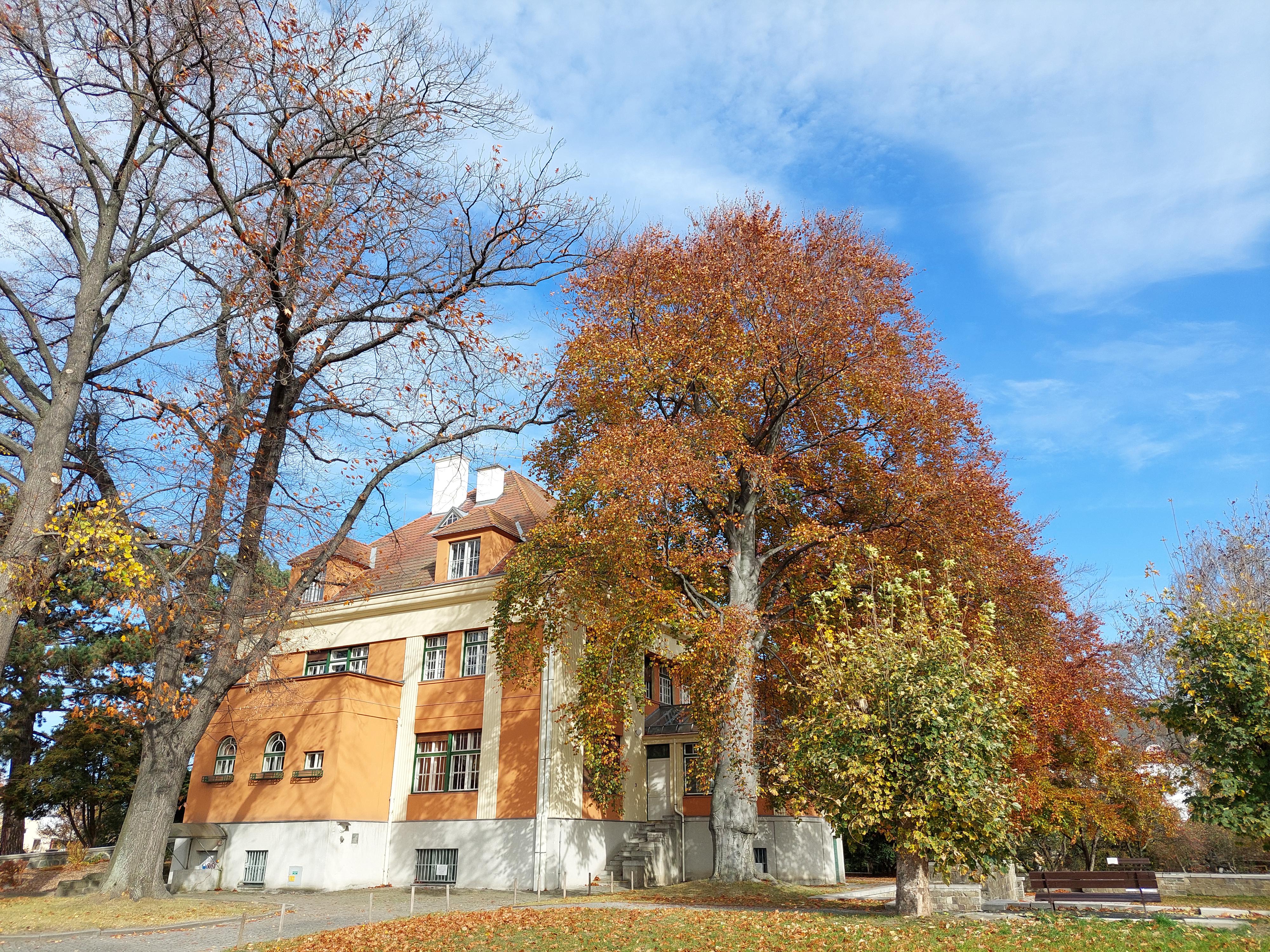 Městské muzeum Krnov foto 6