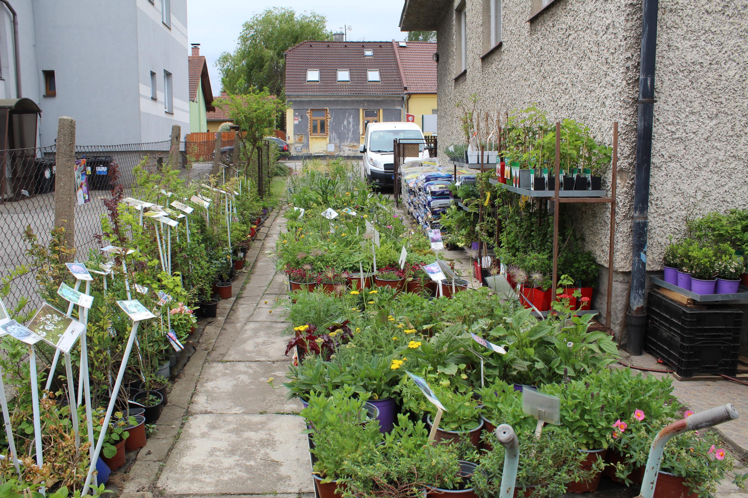 Zahradnictví Semerek foto 2