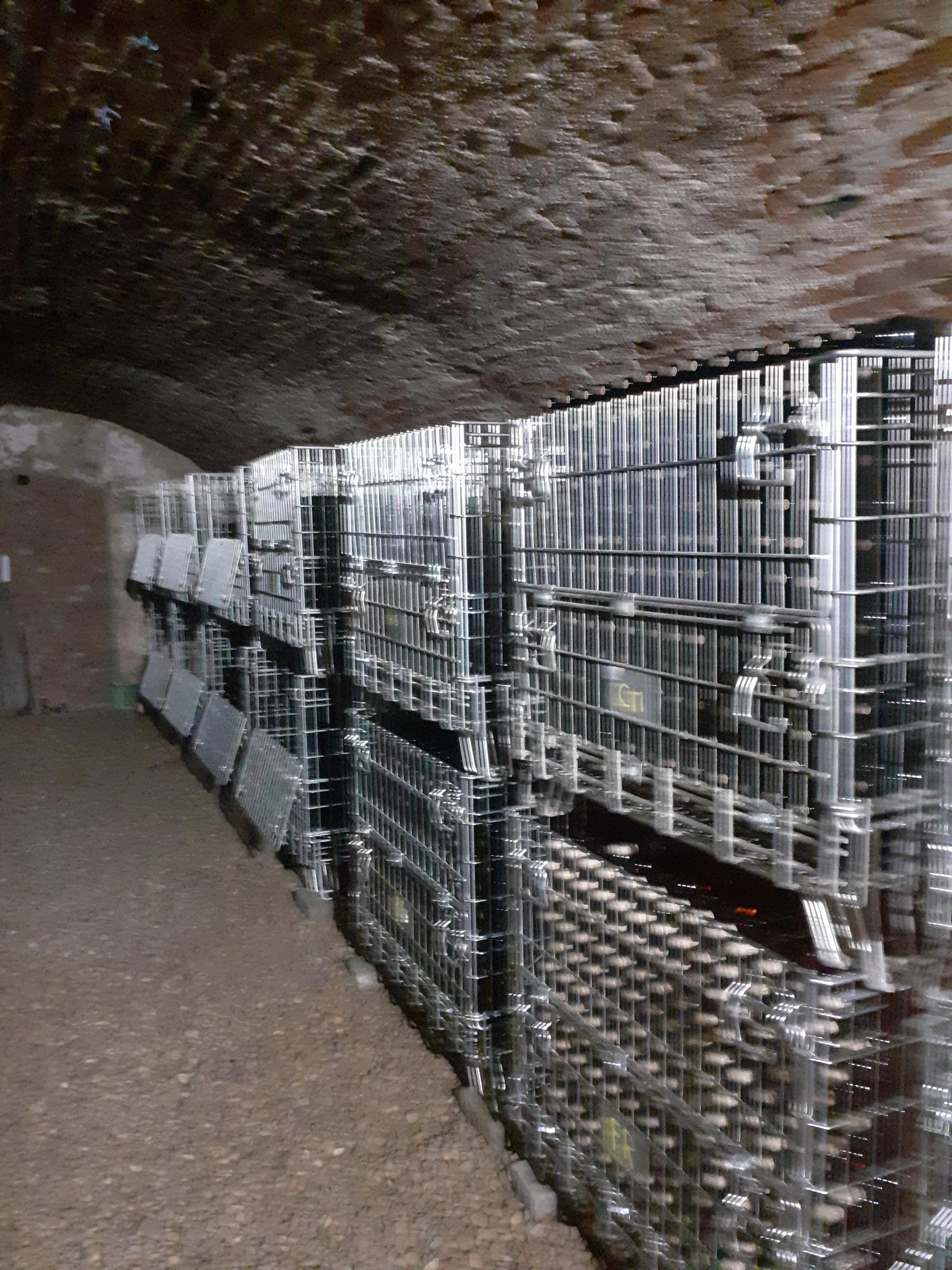 Penzion a vinařství Holacký foto 3