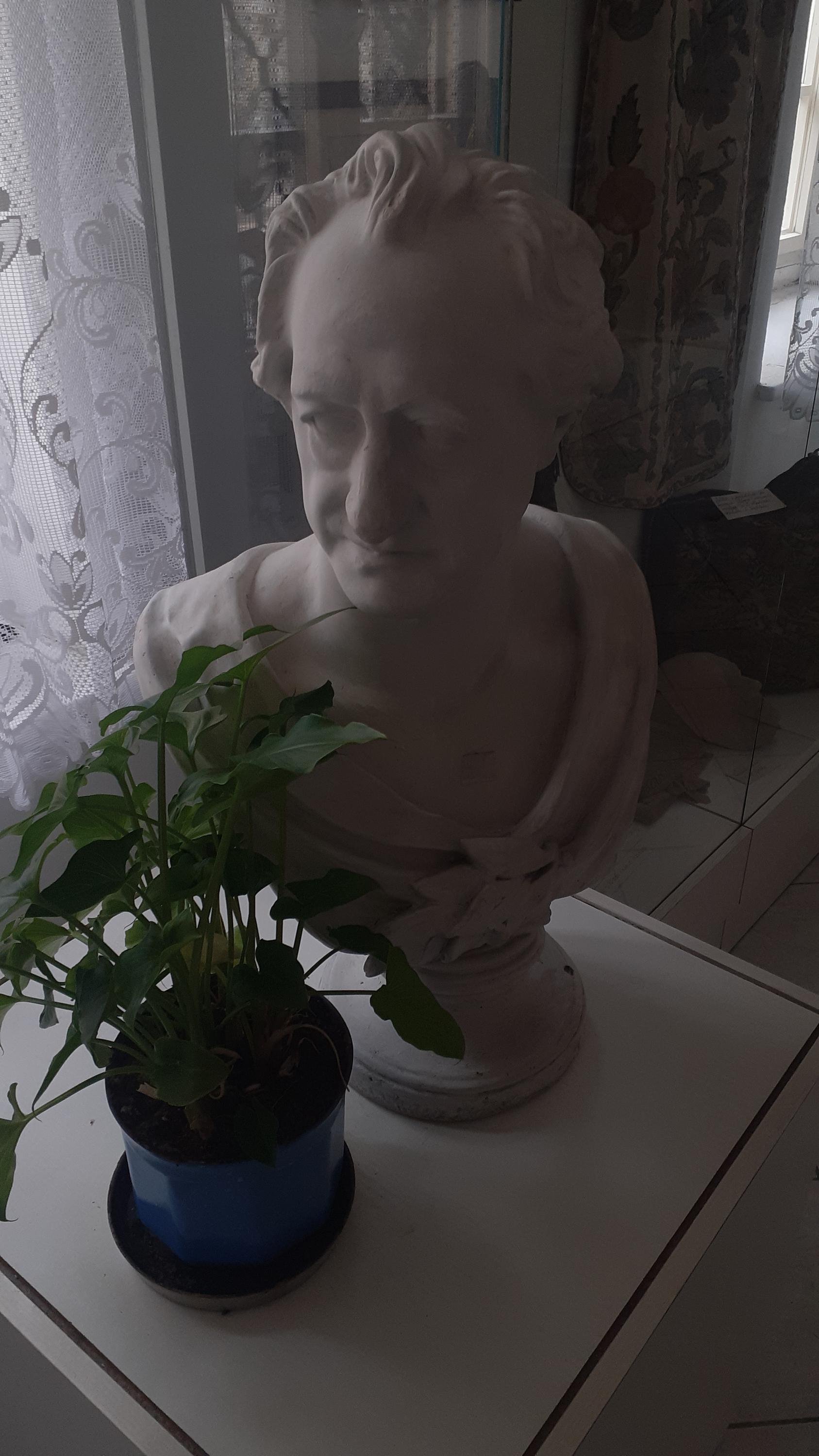 Expozice Ulriky von Levetzow foto 4