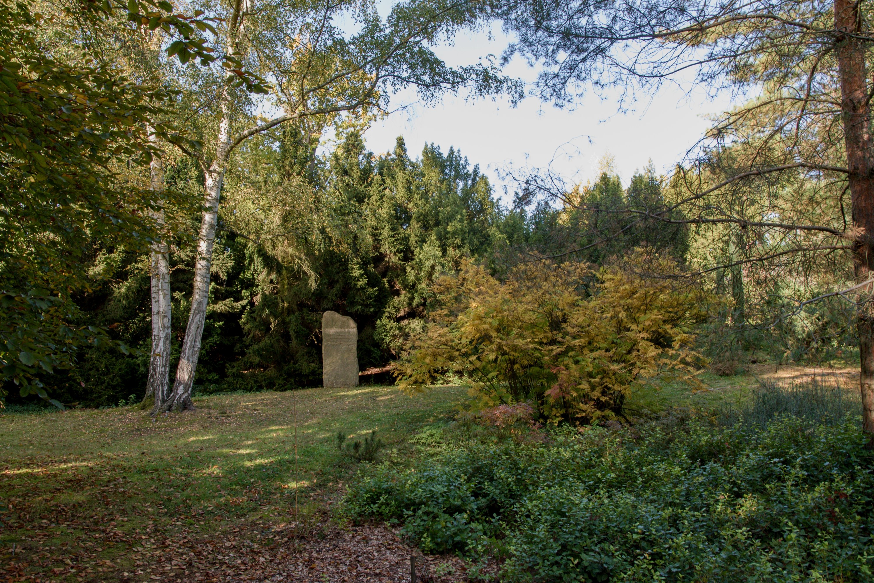 ČZU - Arboretum Fakulty lesnické a dřevařské foto 6