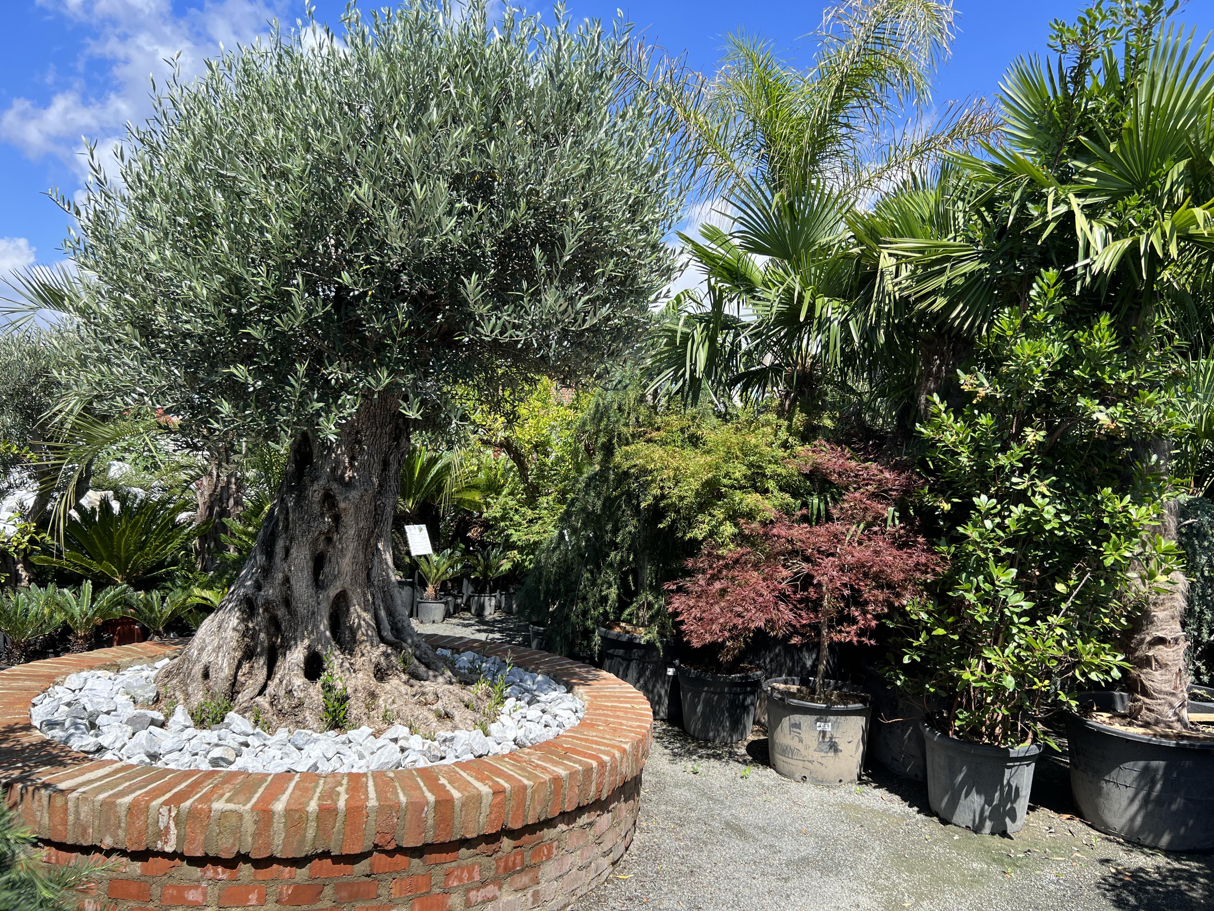 exoticka-zahrada.cz foto 3